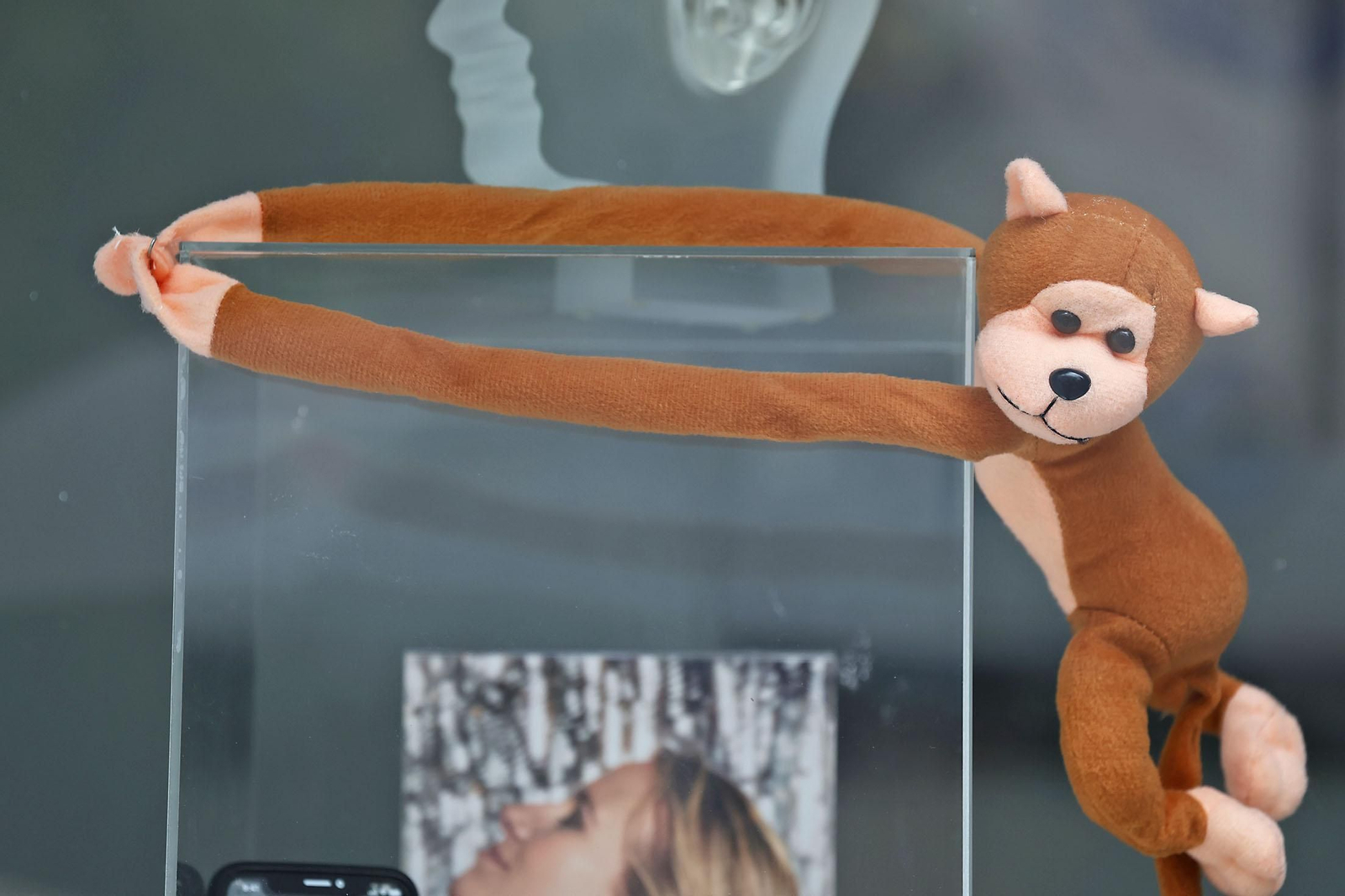 Las imágenes más destacadas del viernes 28 de febrero en Huelva