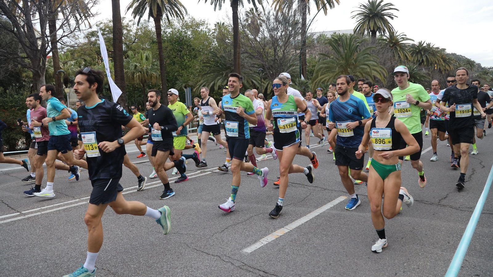 La Media Maratón de Málaga 2025, en fotos