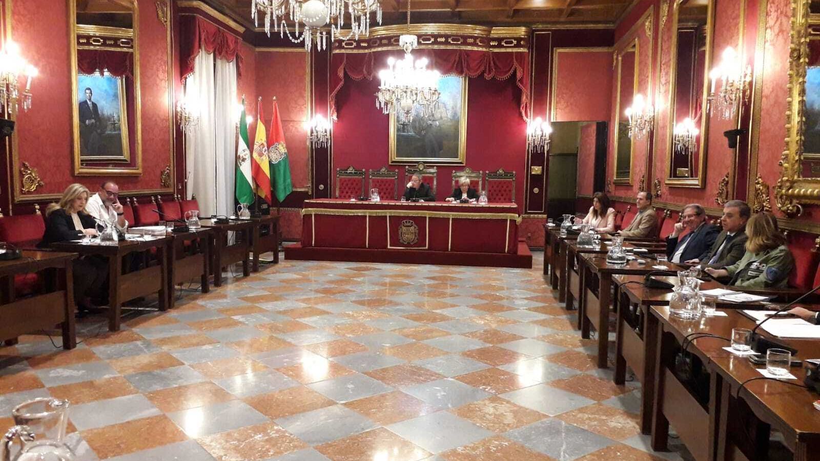 Comisión de Urbanismo este miércoles en el Ayuntamiento de Granada.