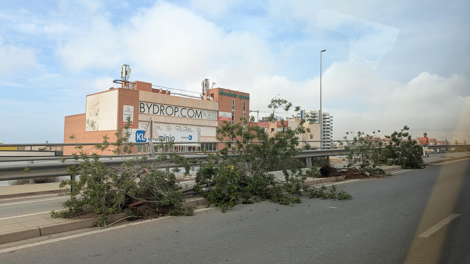 Árboles talados en el puente de la autovía al aeropuerto