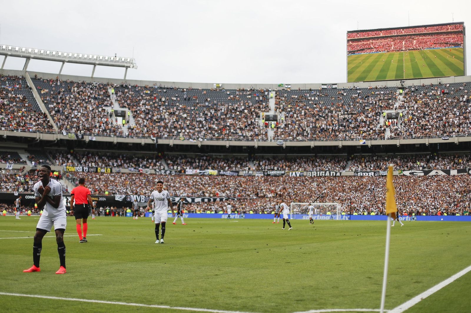 Las fotos de una final de la Libertadores histórica; Botafogo, campeón con 10, ante Atlético Mineiro
