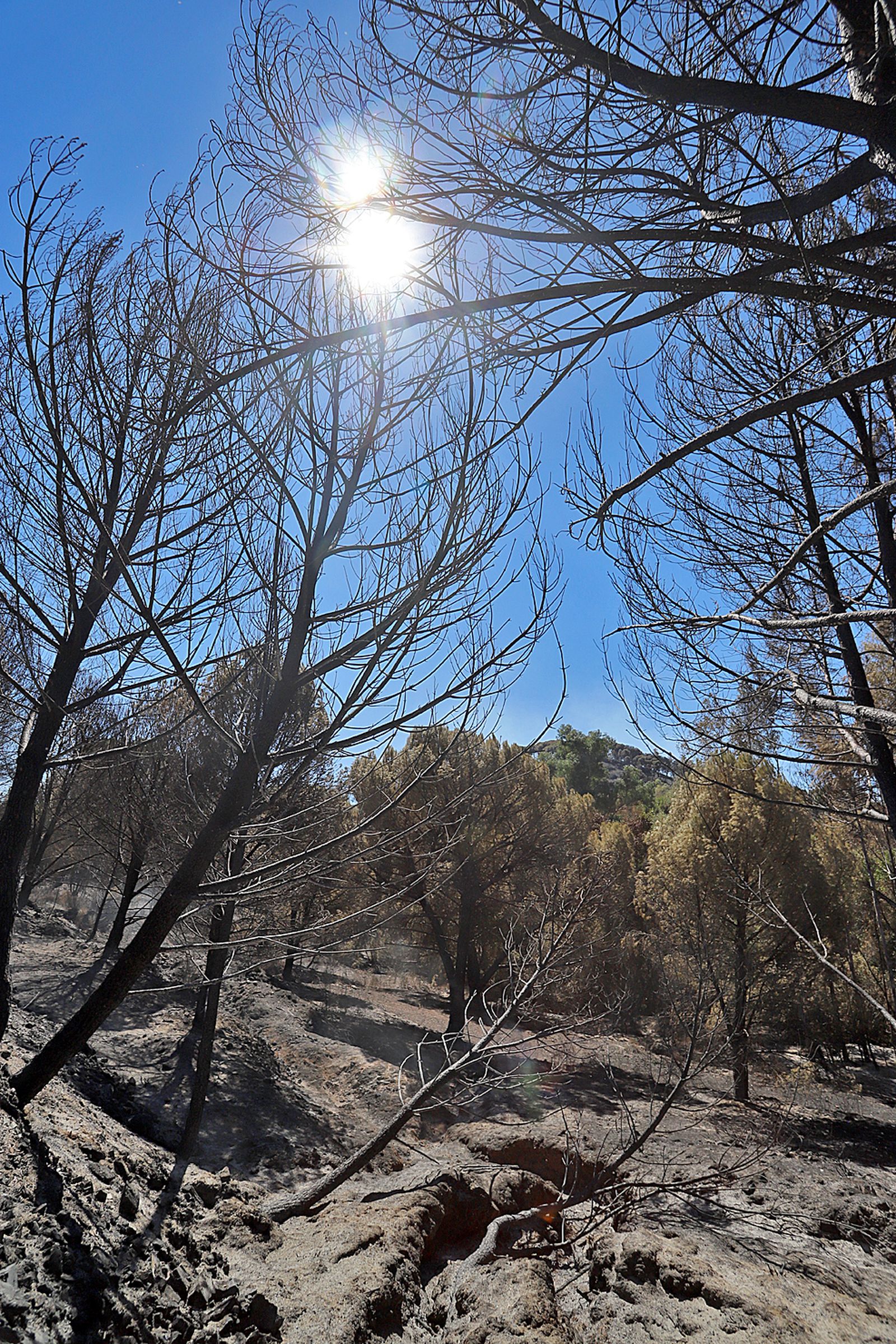 Imágenes de la devastación que deja a su paso el incendio de Almonaster la real.