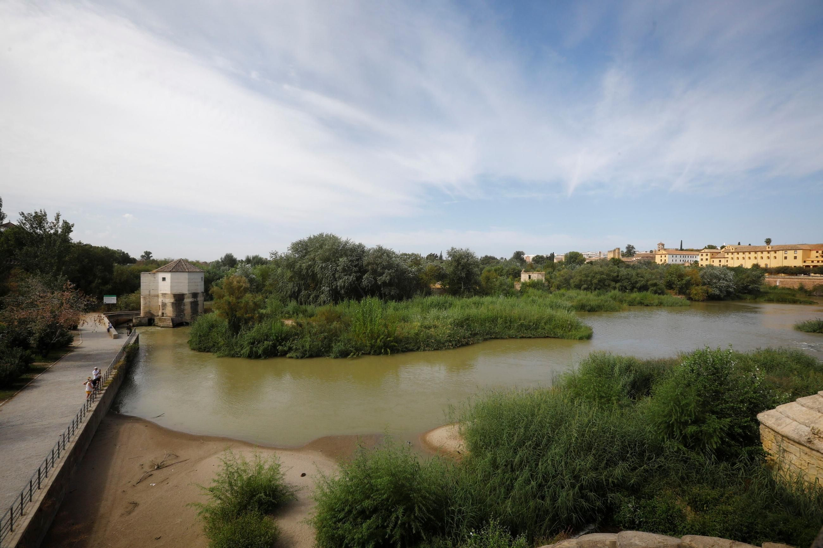 Las imágenes de los Molinos de Córdoba en el río Guadalquivir