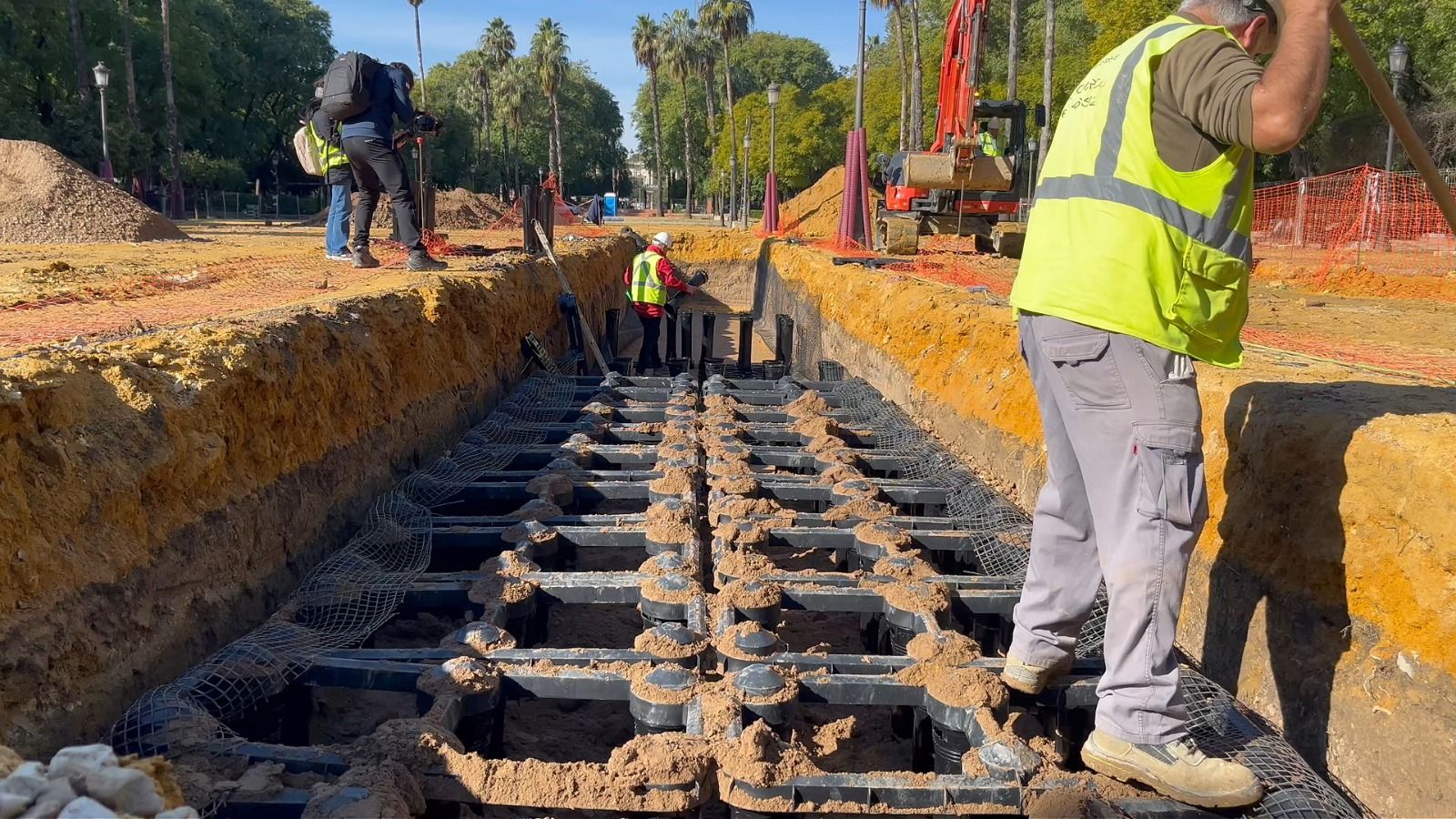Un novedoso sistema de geoceldas para los árboles del Prado de San Sebastián.