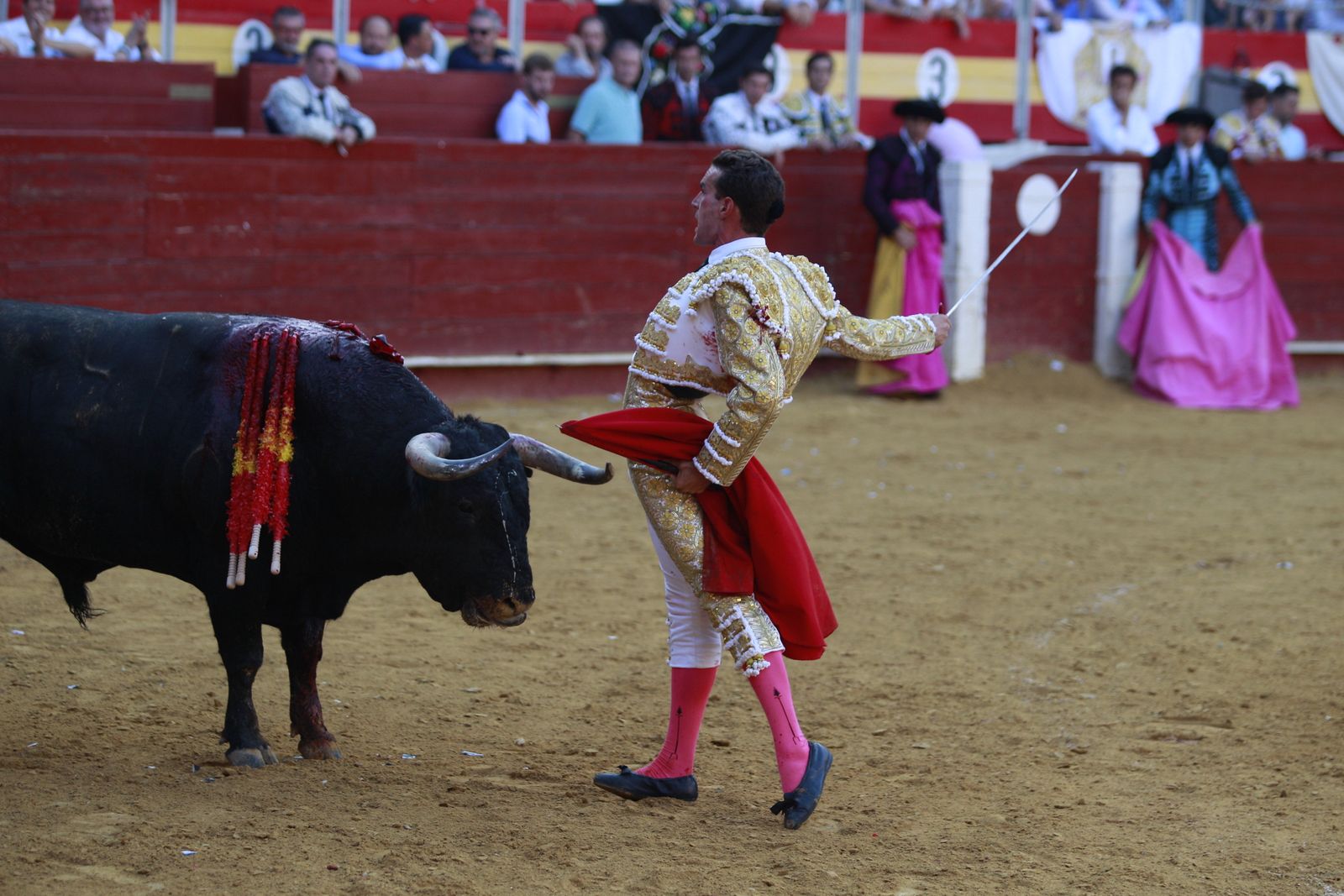 Imágenes de la corrida de toros del jueves en la Feria de Almería 2024