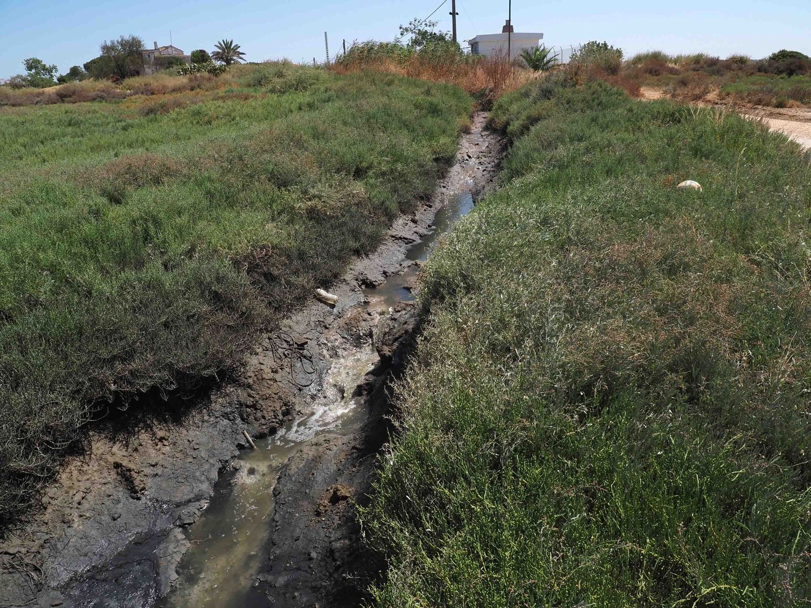 Zona de aguas fecales que provoca los malos olores.