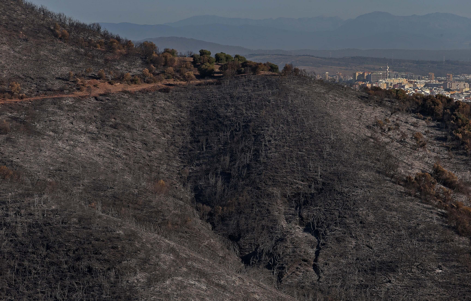 El impacto del incendio forestal de Algeciras, en imágenes