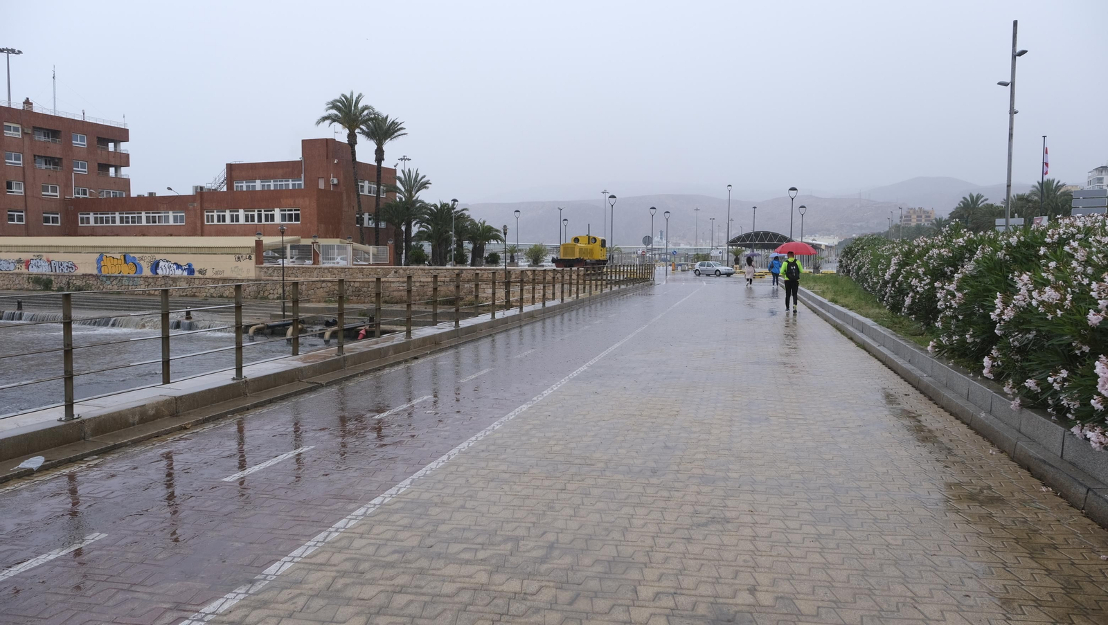 Los almerienses expresan su alegría por la lluvia