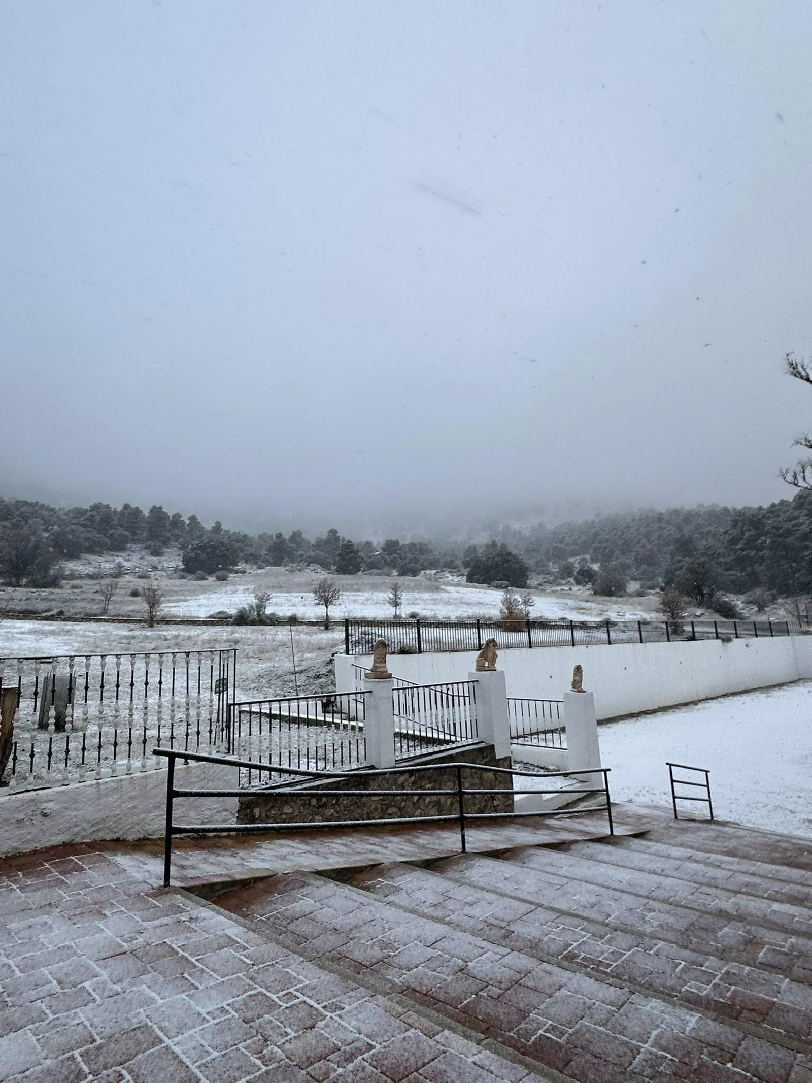 La sierra, cubierta de nieve.
