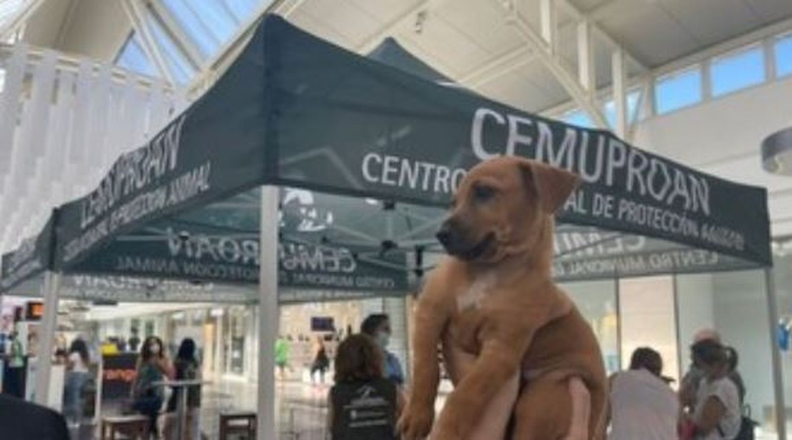 Una de las campañas informativas llevadas a cabo por el Cemupran.