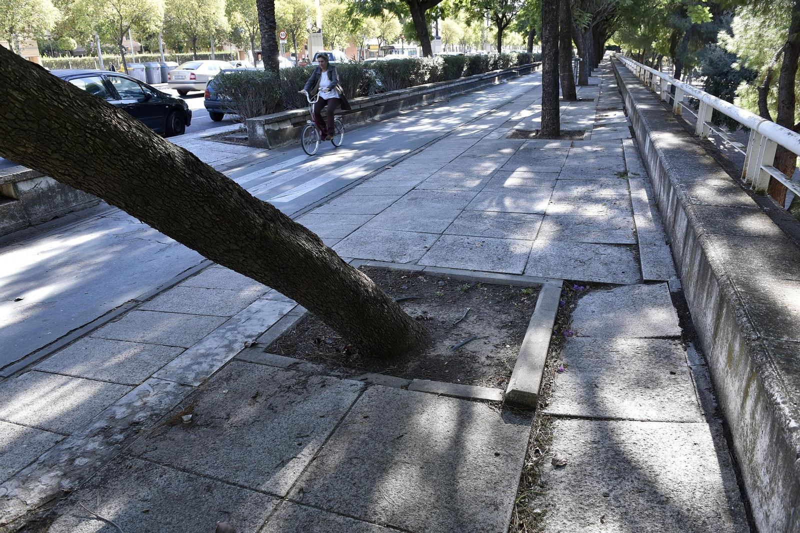 Desperfectos en el entorno del río