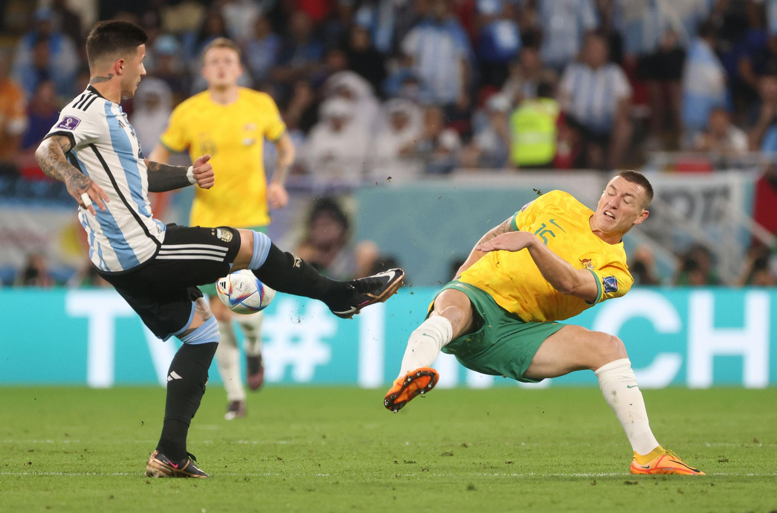 Las fotos del Argentina - Australia