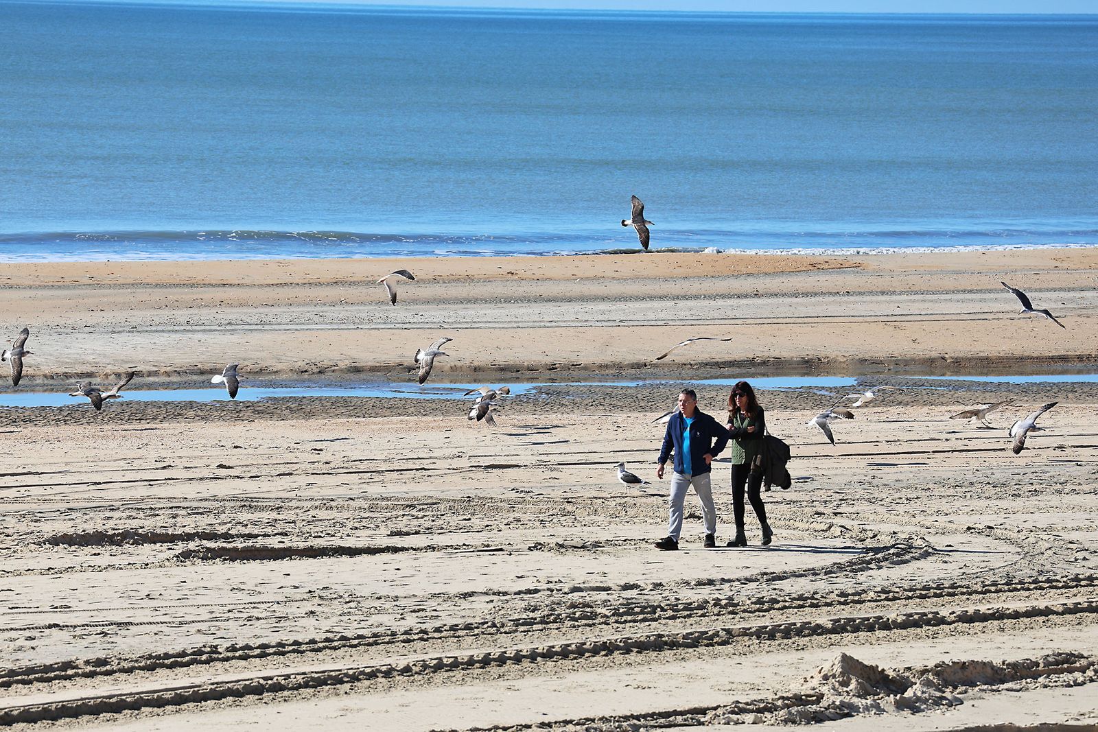 Las mejores fotografías del domingo en Huelva
