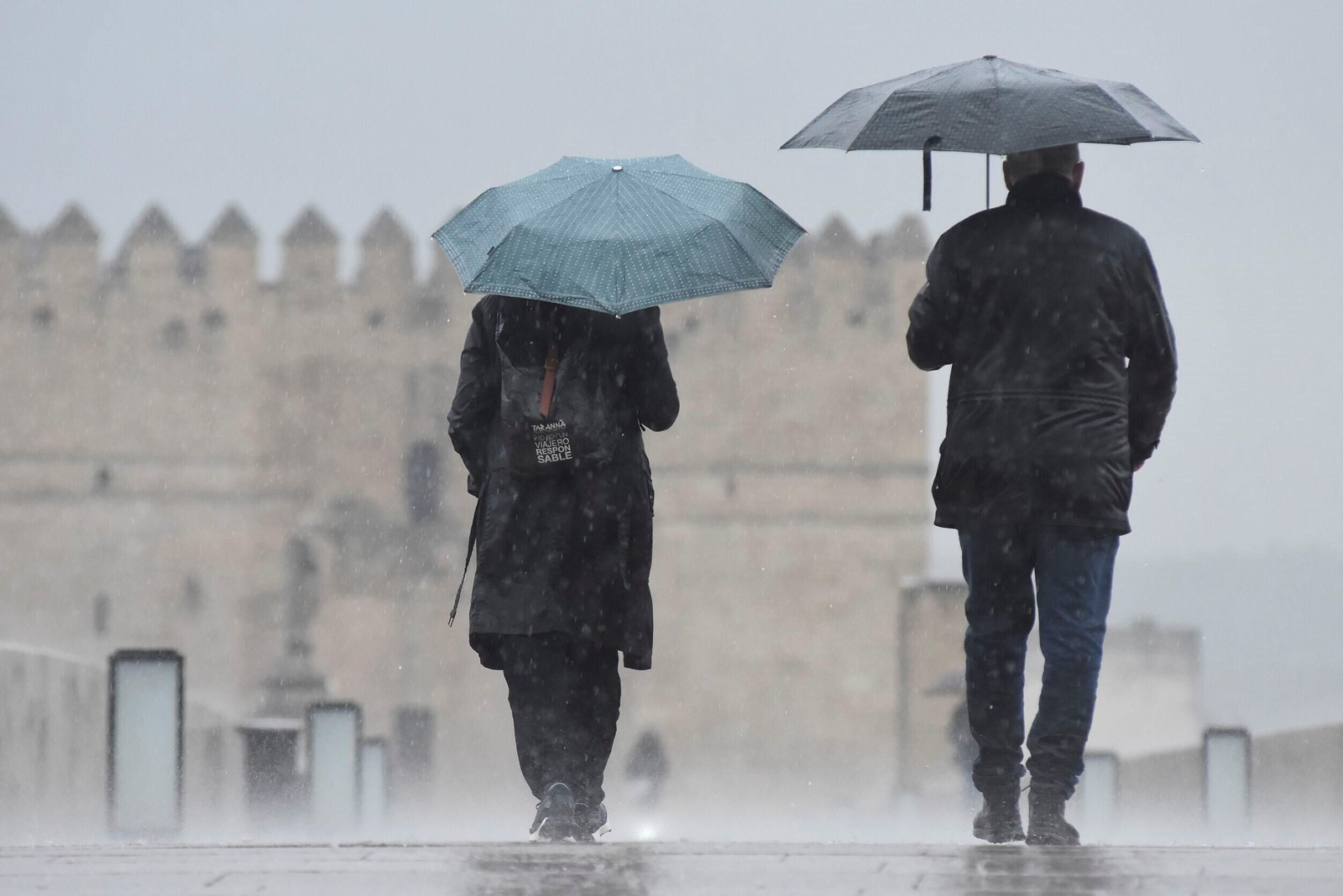 El paso de la borrasca Karlotta por Córdoba, en imágenes