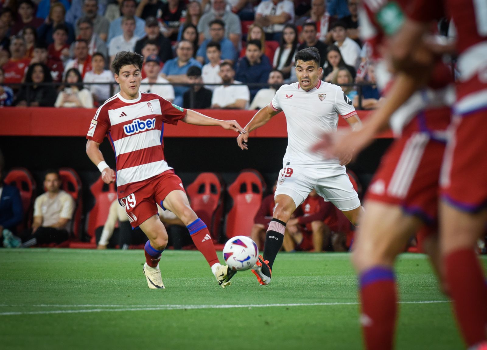 Las imágenes del Sevilla FC - Granada CF