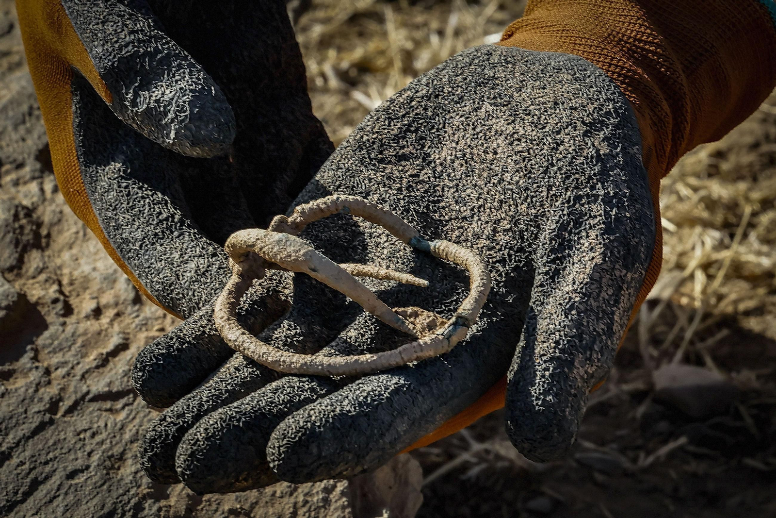 Broche de cinturón encontrado en las excavaciones del 'santuario fundacional' de la ciudad tartesia de Tejada la Vieja.