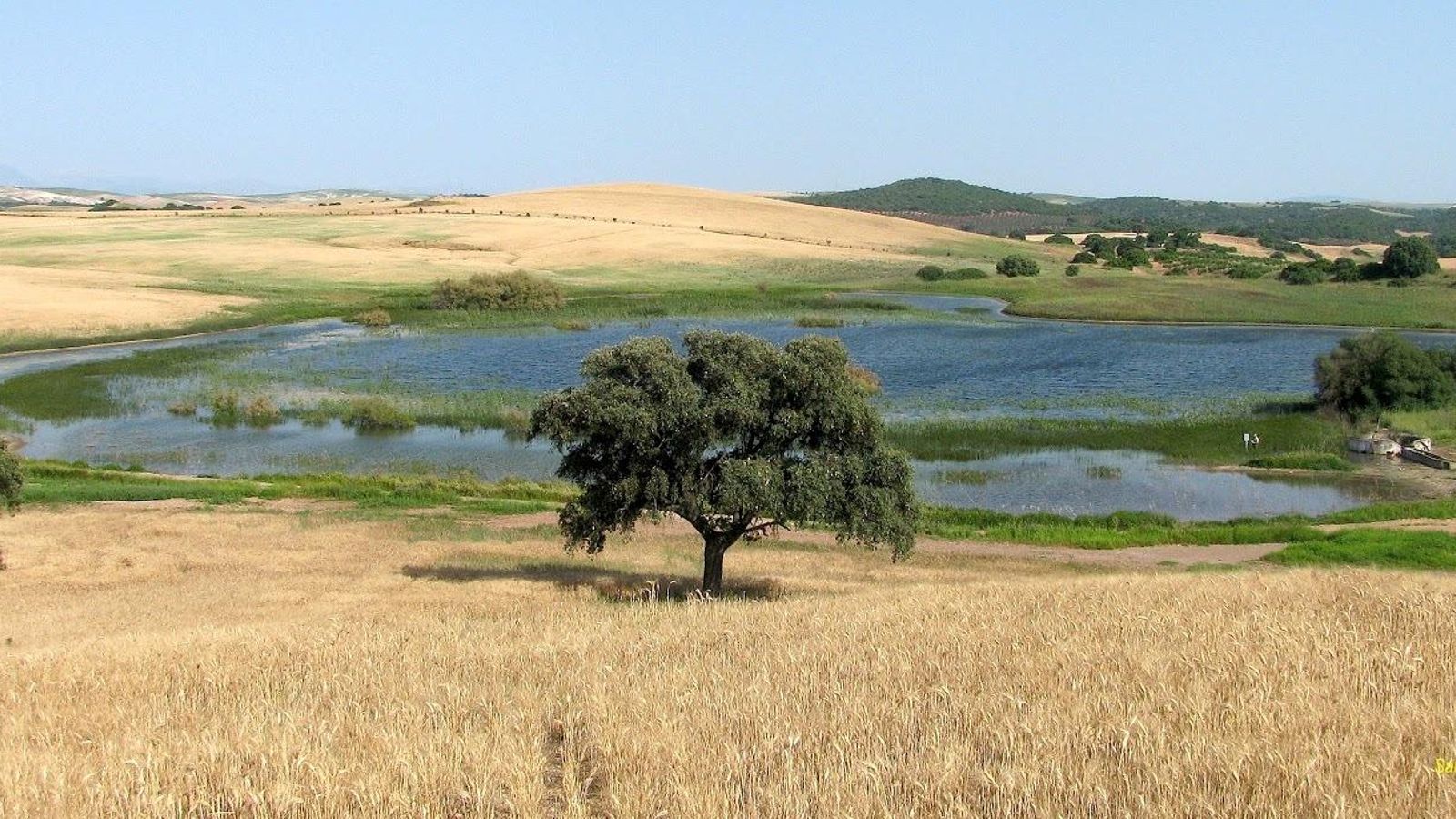 Laguna de La Galiana, en el Complejo Endorréico Lebrija-Las Cabezas.