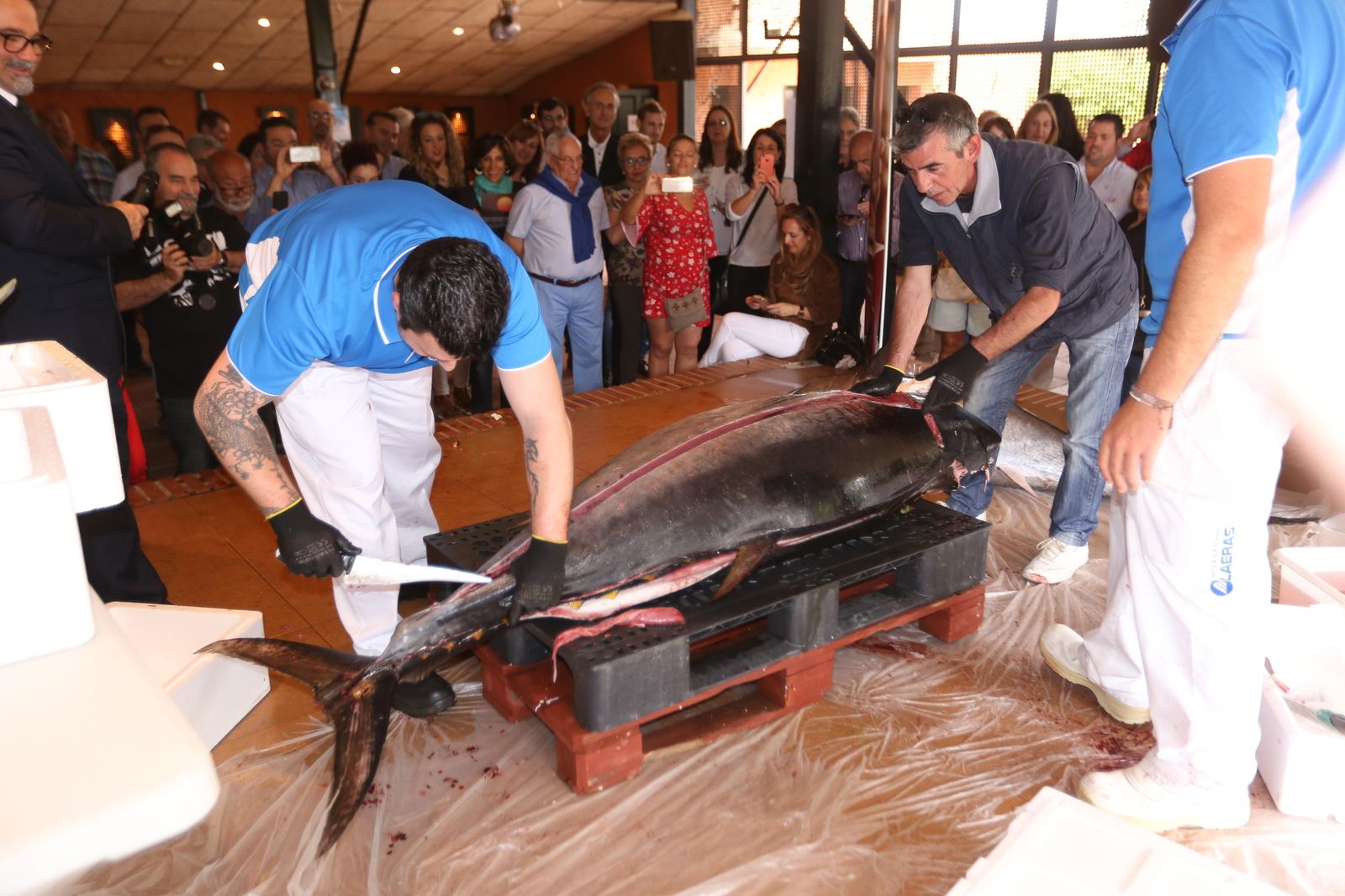 Un momento del despiece en una edición anterior de la Semana del Atún Salvaje.