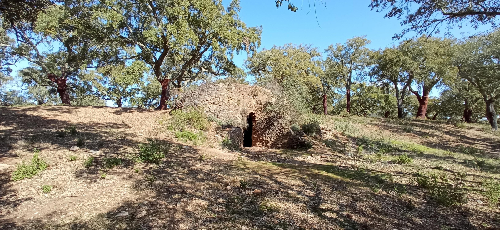 Las imágenes de la ruta de la cascada de Jollarancos y bosque de las letras