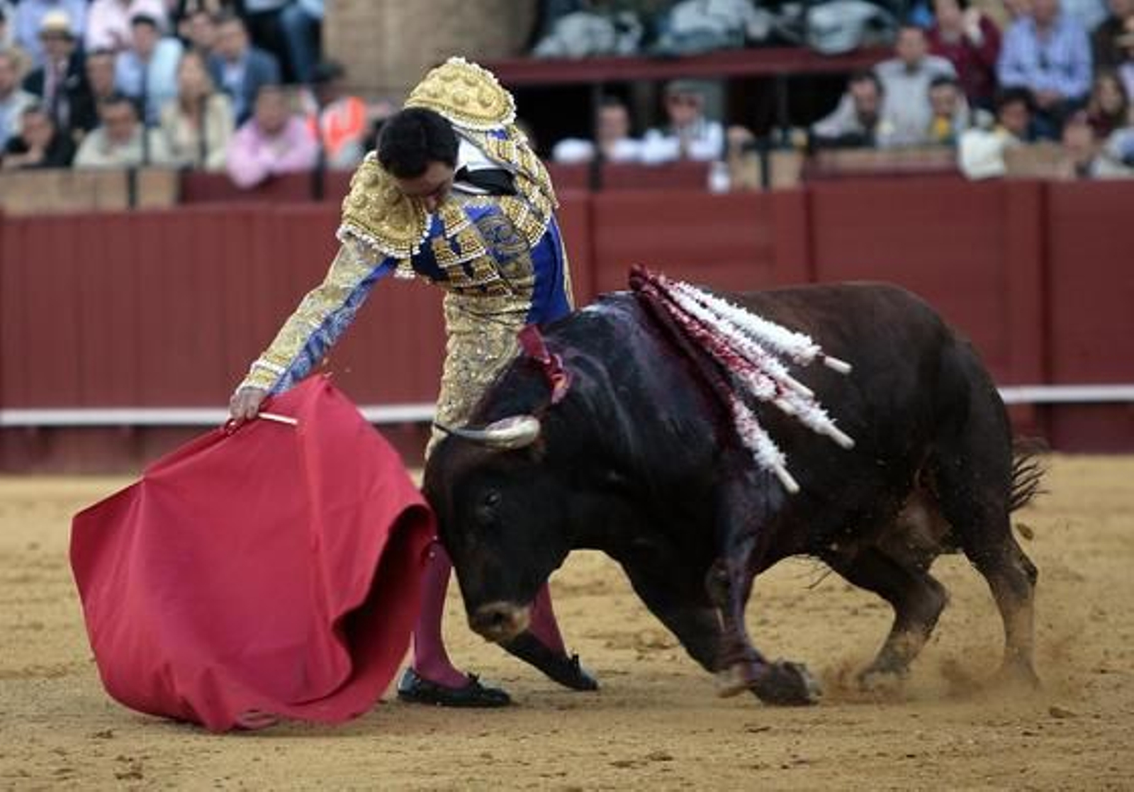 Foto: Juan Carlos Muñoz