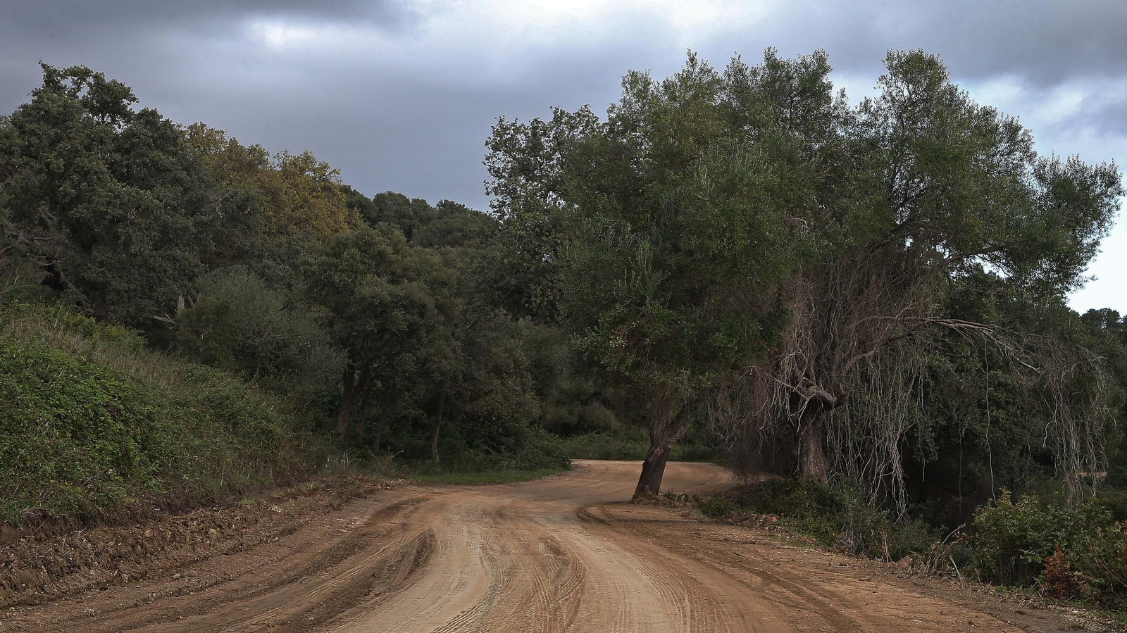 Fotos del sendero del Cerro del Tambor en Algeciras