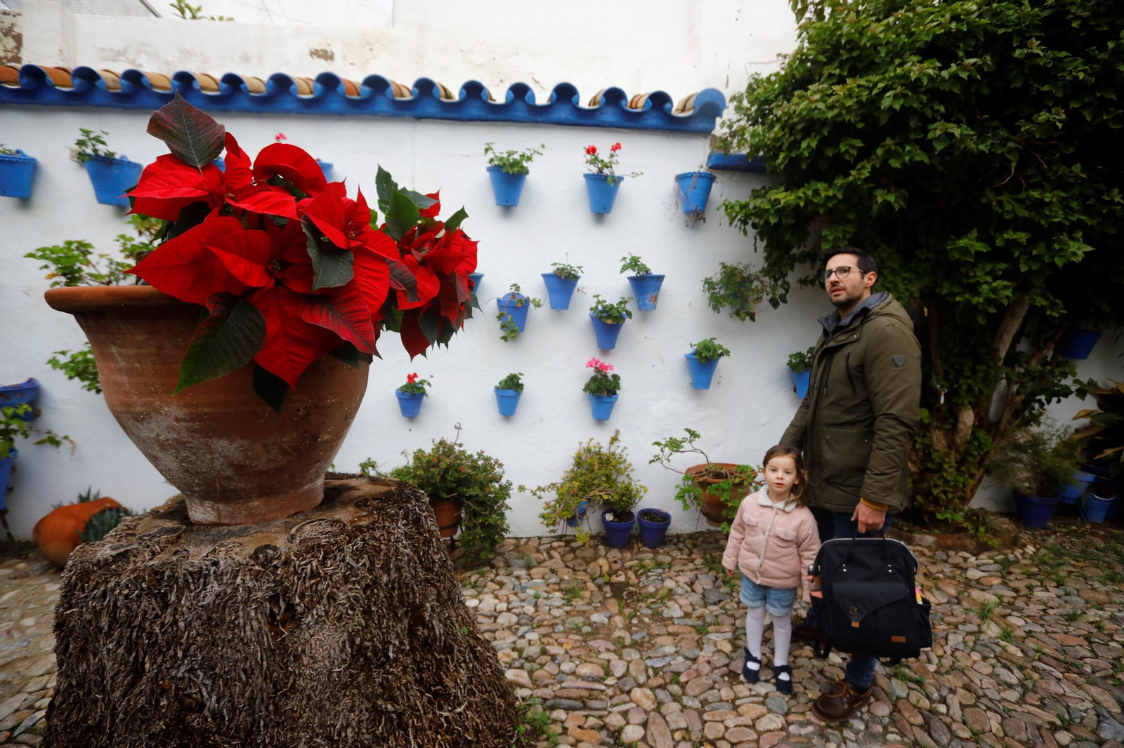 Las mejores imágenes de la apertura de los Patios en Navidad
