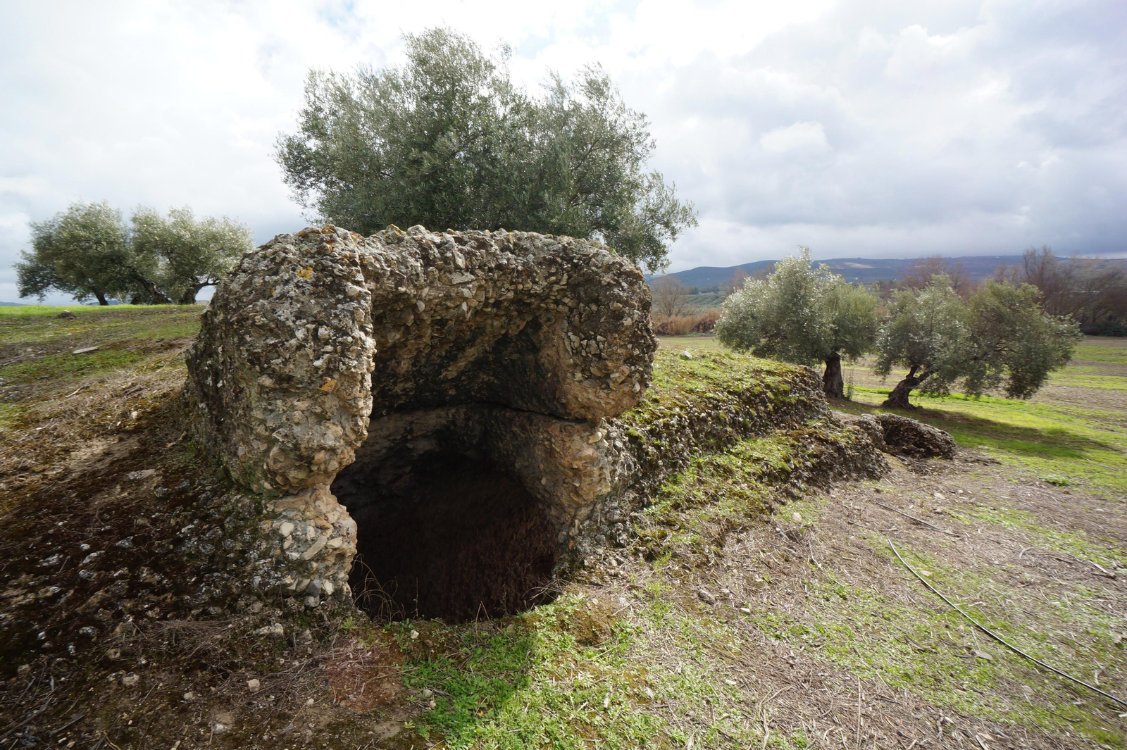 Los silos romanos del Carchena en Castro del Río, en fotografías