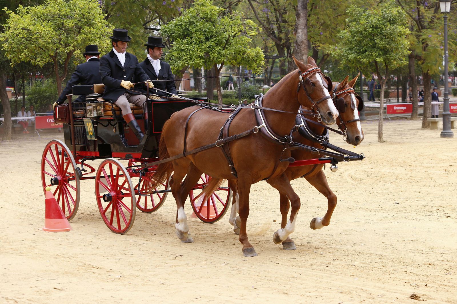 El concurso de enganches, en imágenes