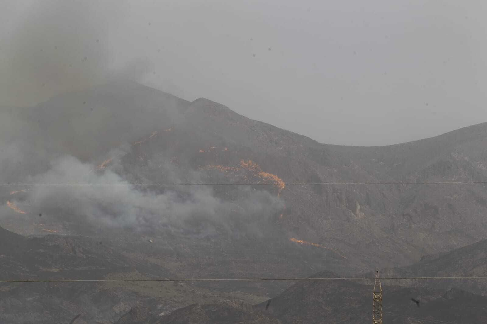 Imágenes del primer gran incendio en Almería a las puertas del verano