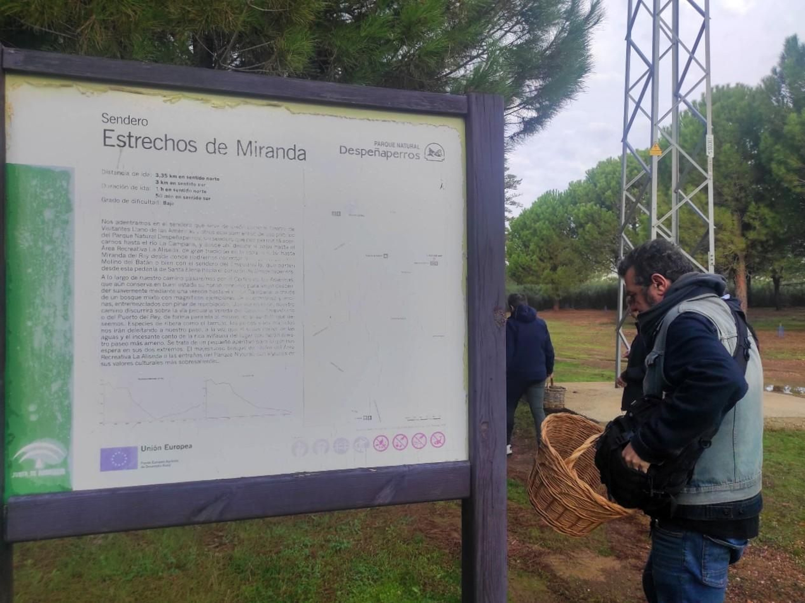 Ruta senderista para recolectar hasta diez tipos de setas diferentes en Despeñaperros