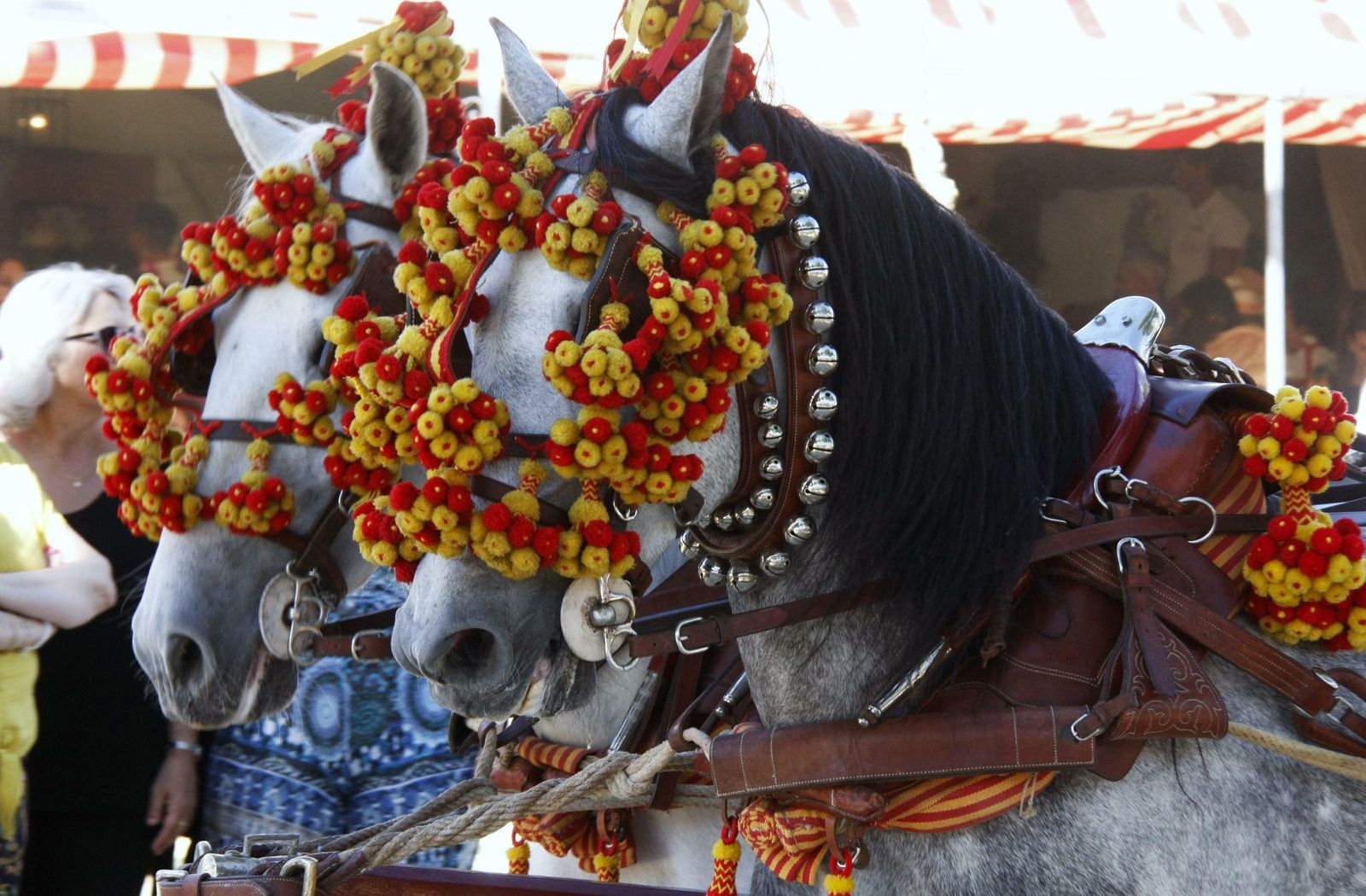 Este año también se ha notado un descenso en el número de caballistas. A pesar de ello, se ha podido andar con total comodidad y seguridad por las calles del recinto.