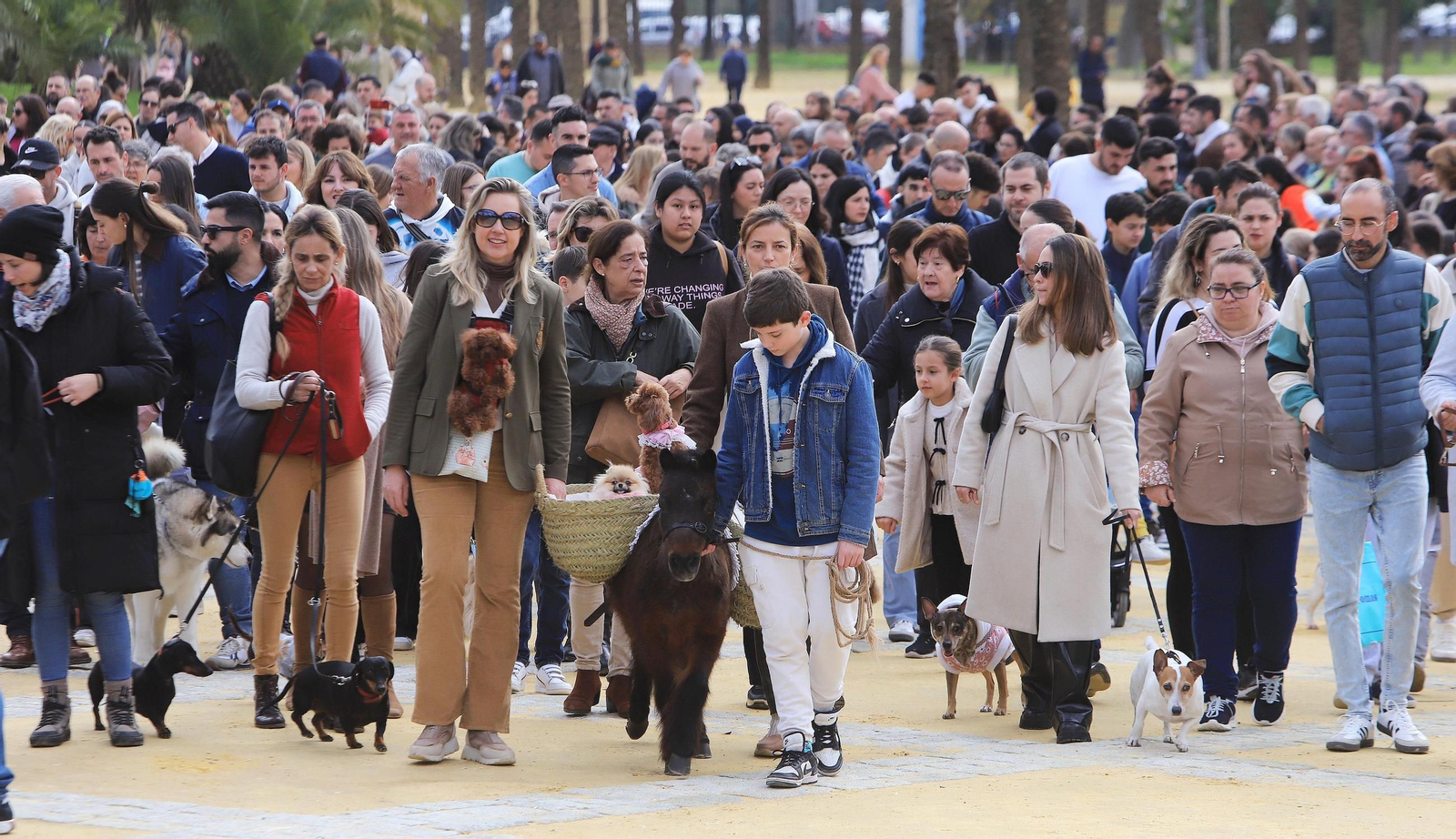 Jerez celebra San Antón 2025