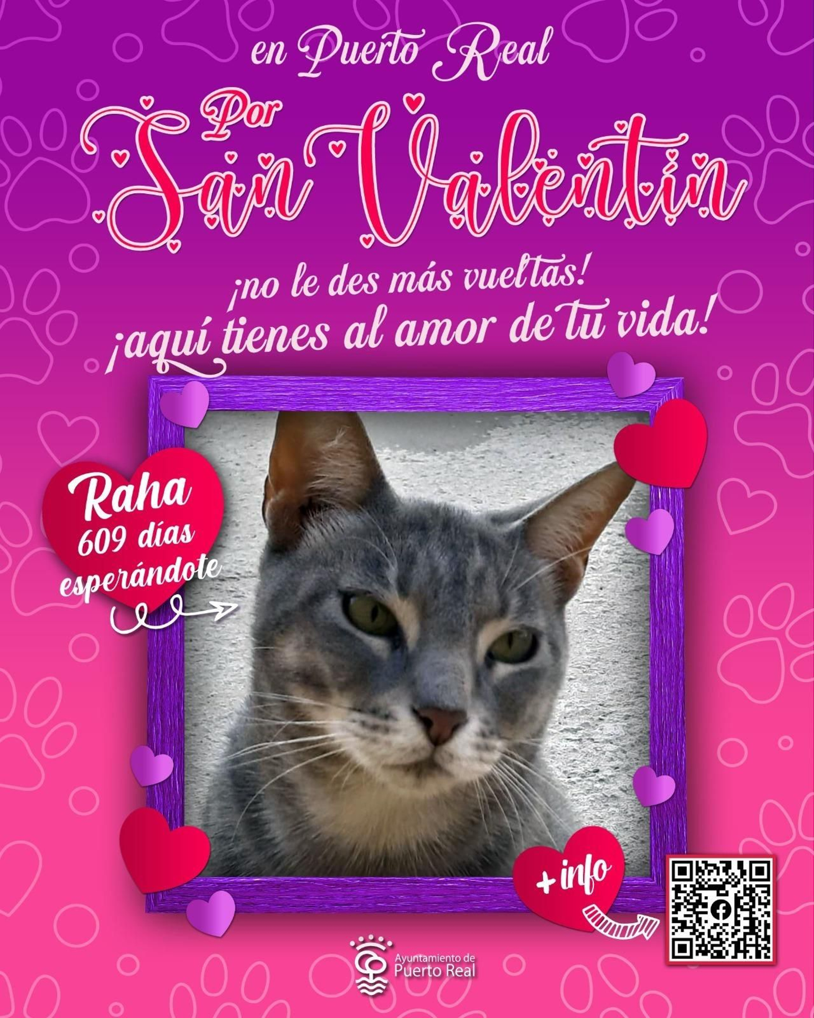 Mascota a la espera de ser adoptada