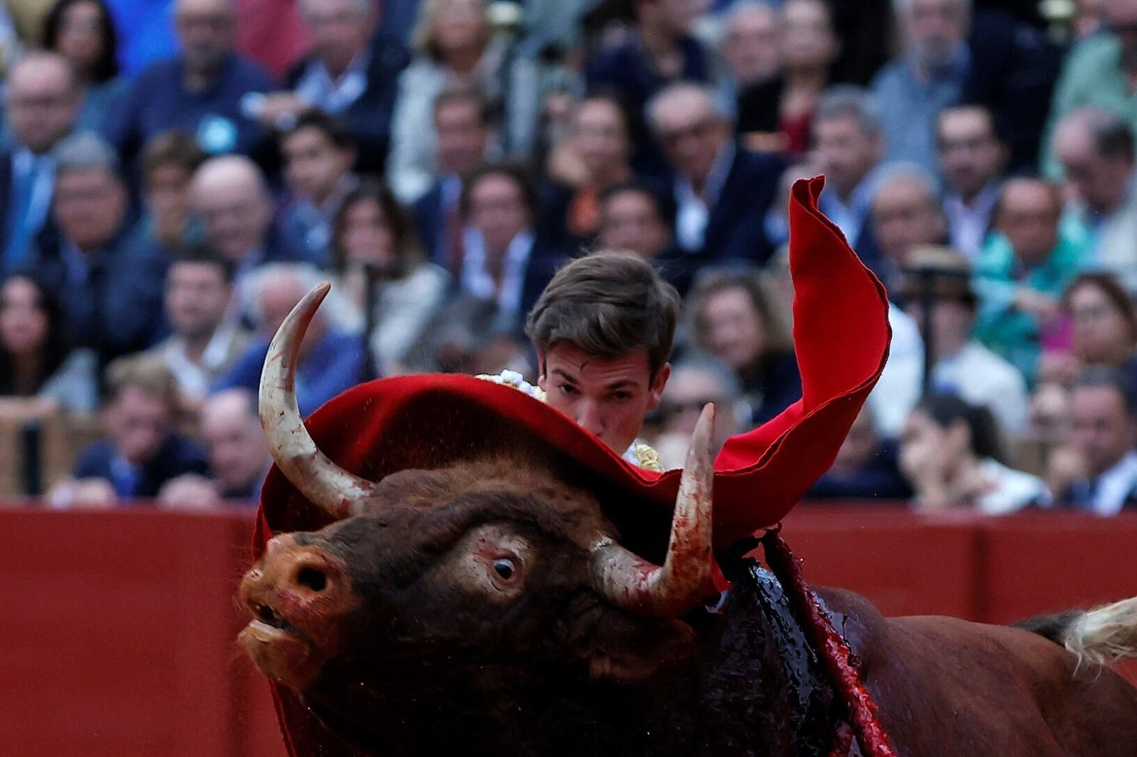 Javier Zulueta, ayer en una de sus actuaciones en la corrida de su alternativa en Sevilla.