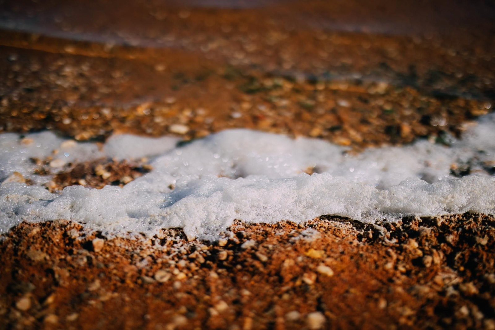Un recorrido fotográfico por el Paraje Natural Marismas del Odiel