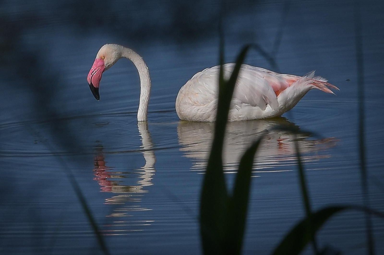 La resistencia en los pueblos de Sevilla al Coronavirus: Lantejuela