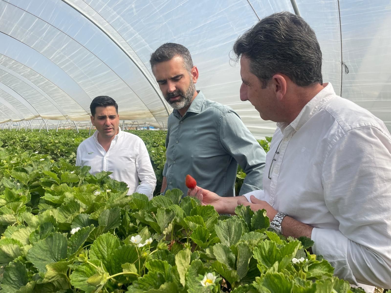 Ramón Fernández-Pacheco en su vista a Agrícola Lena.
