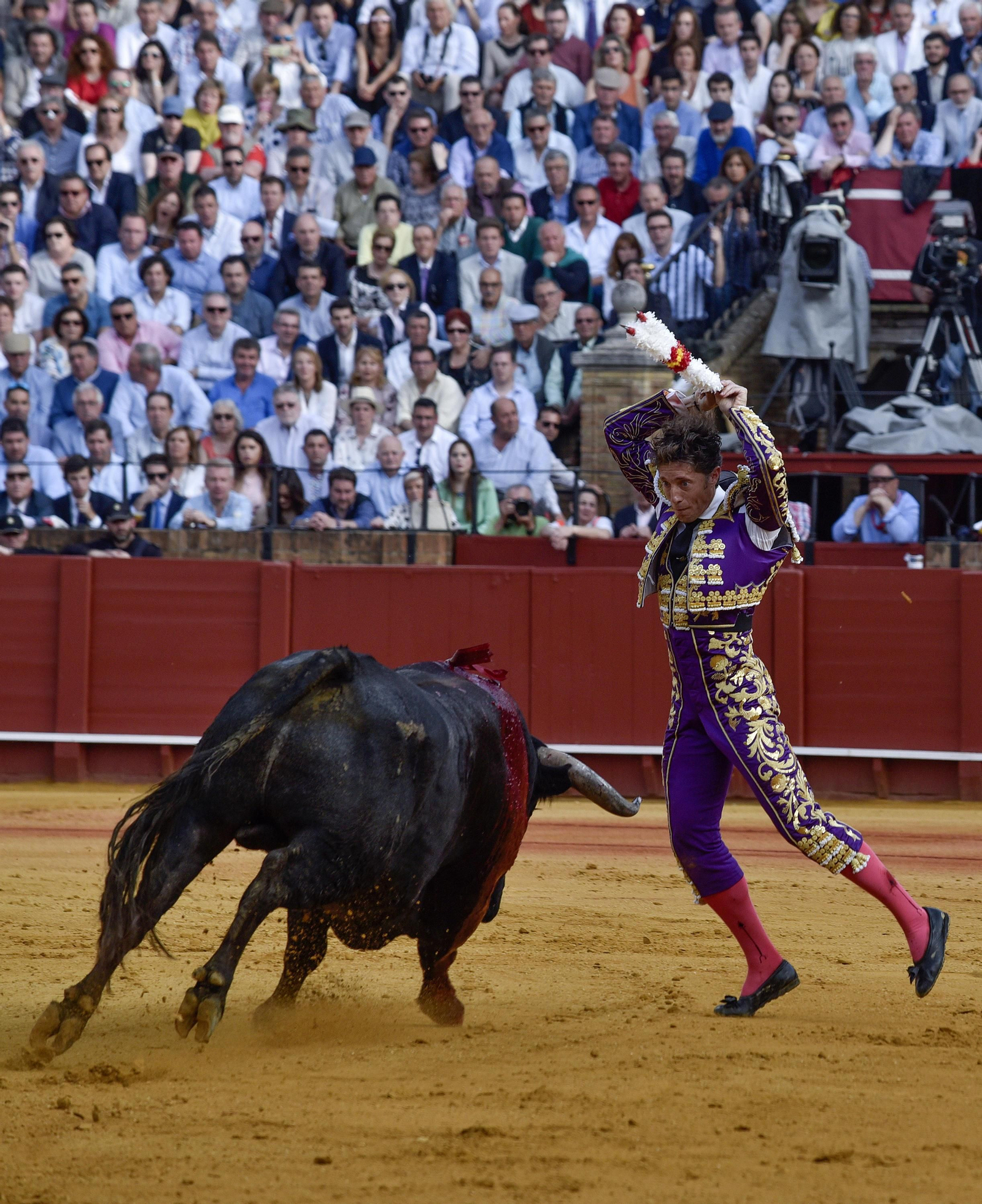 Las imágenes de la 14ª de abono de la Maestranza
