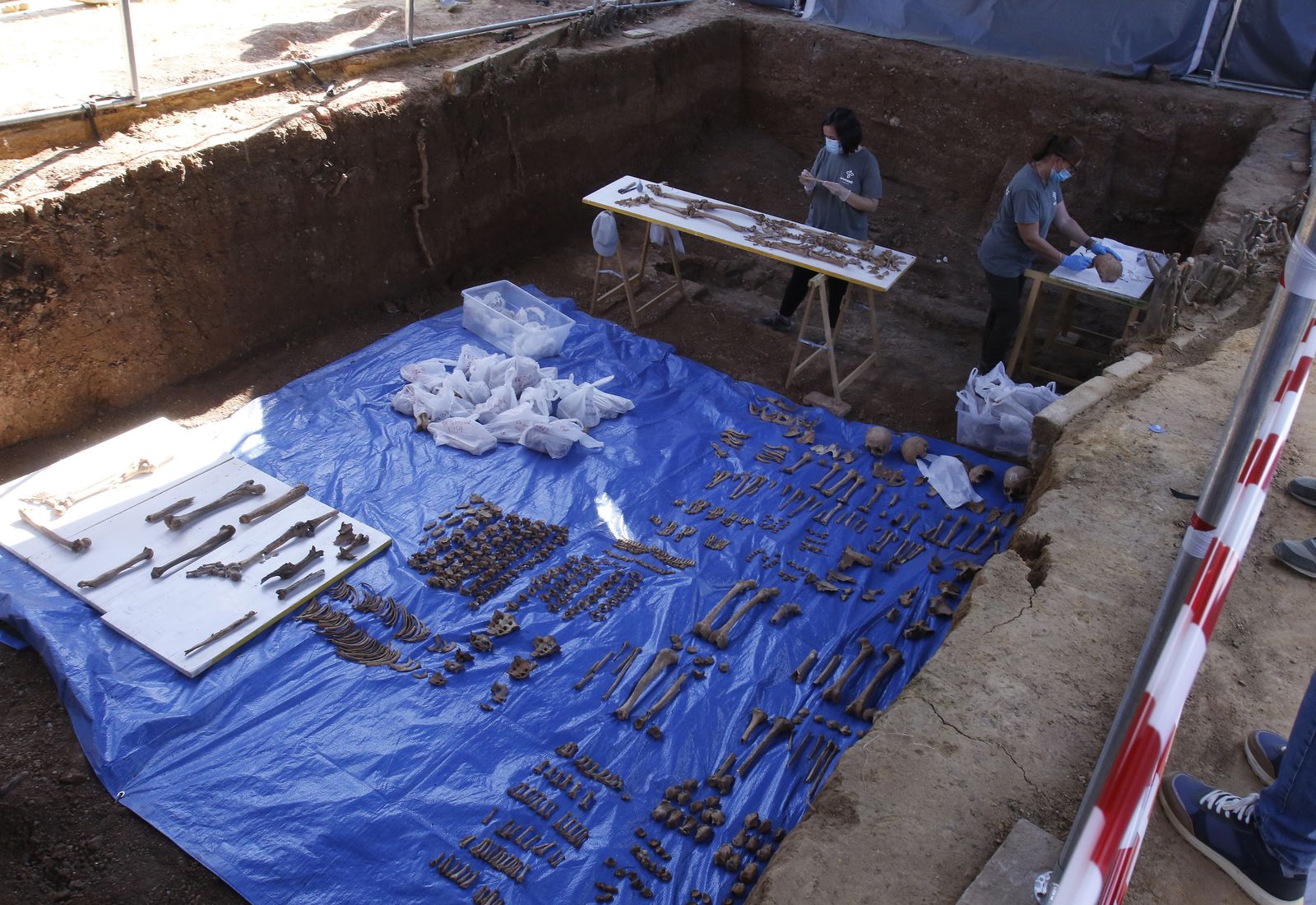 Visita a la fosa de Pico Reja