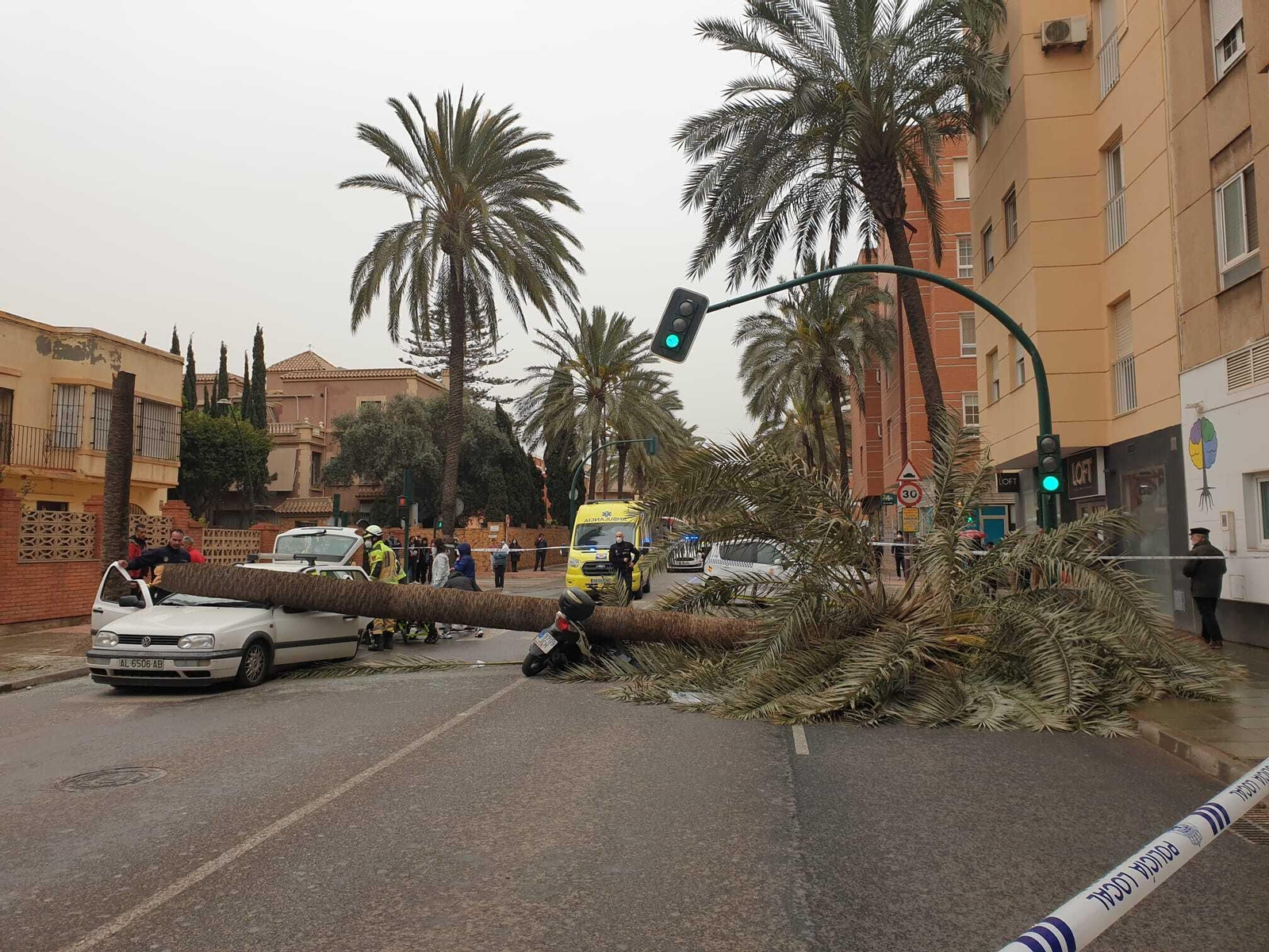 Una palmera causa un brutal accidente en Almería