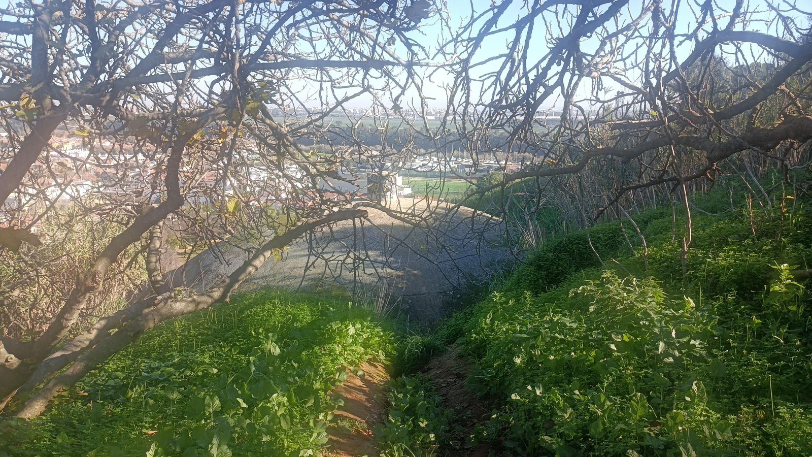 Ascendemos al depósito de agua de Simón Verde. El mirador nos ofrece otra bonita panorámica.