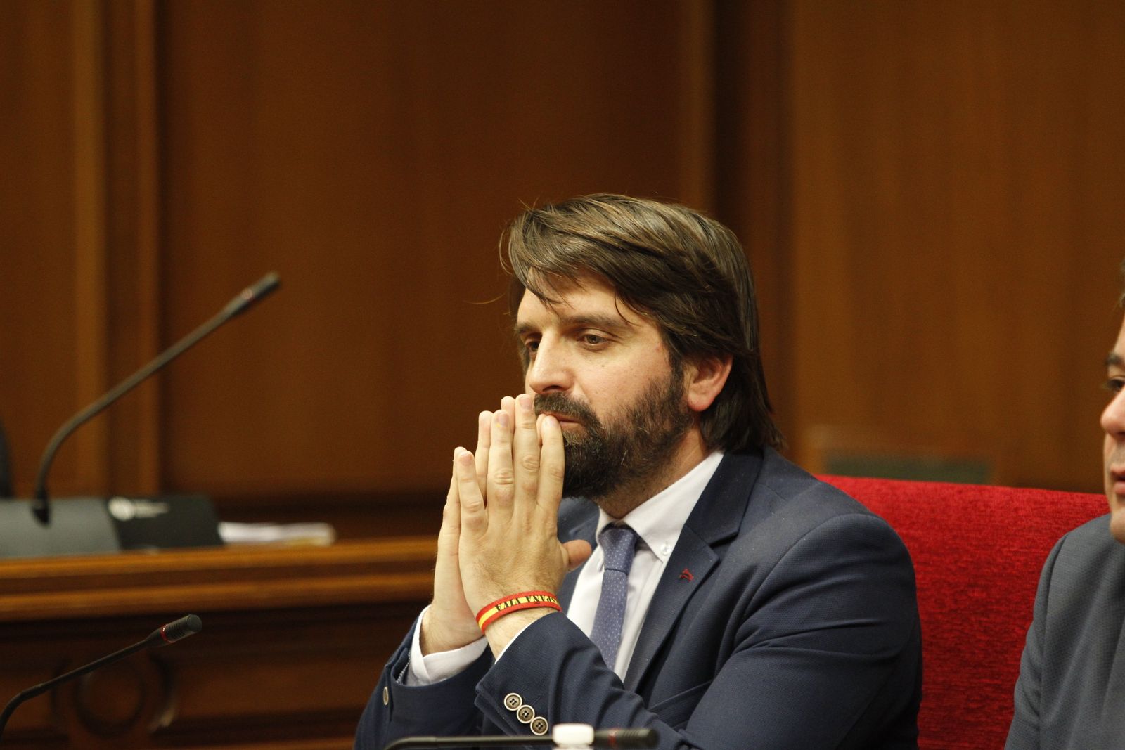 Fotogalería Pleno Ordinario Diputación de Almería