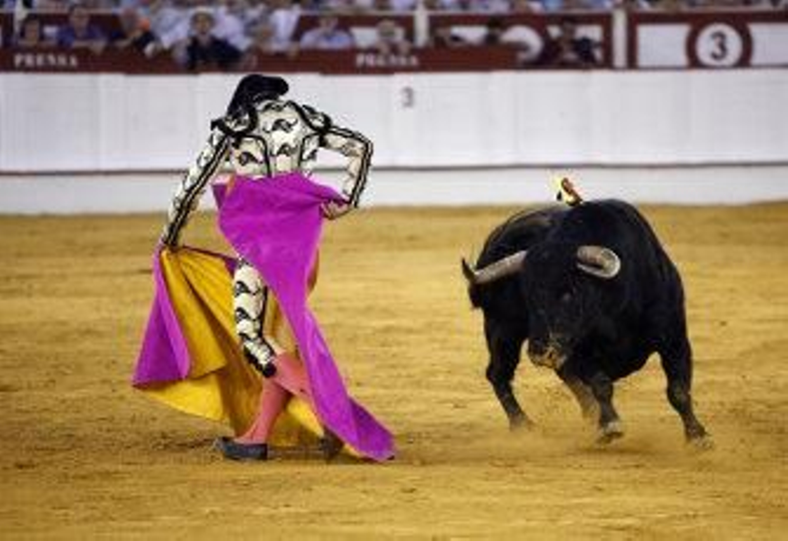 Faenón de Fortes; robo del palco