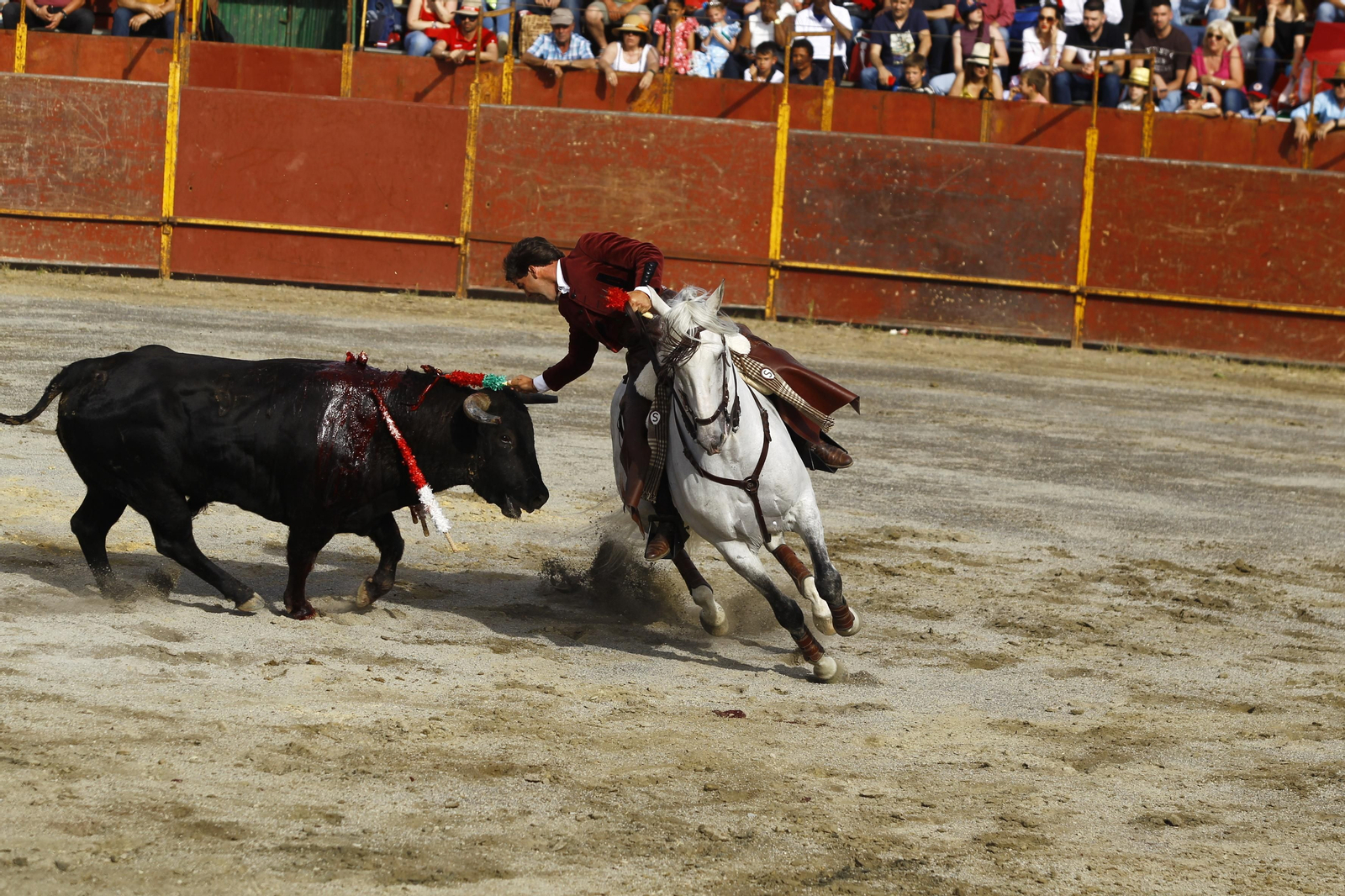 Imágenes de la corrida de toros en las Fiestas de Abrucena.