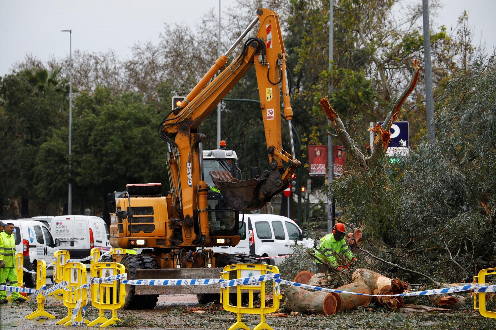 Los daños del último temporal que ha pasado por Córdoba, en imágenes