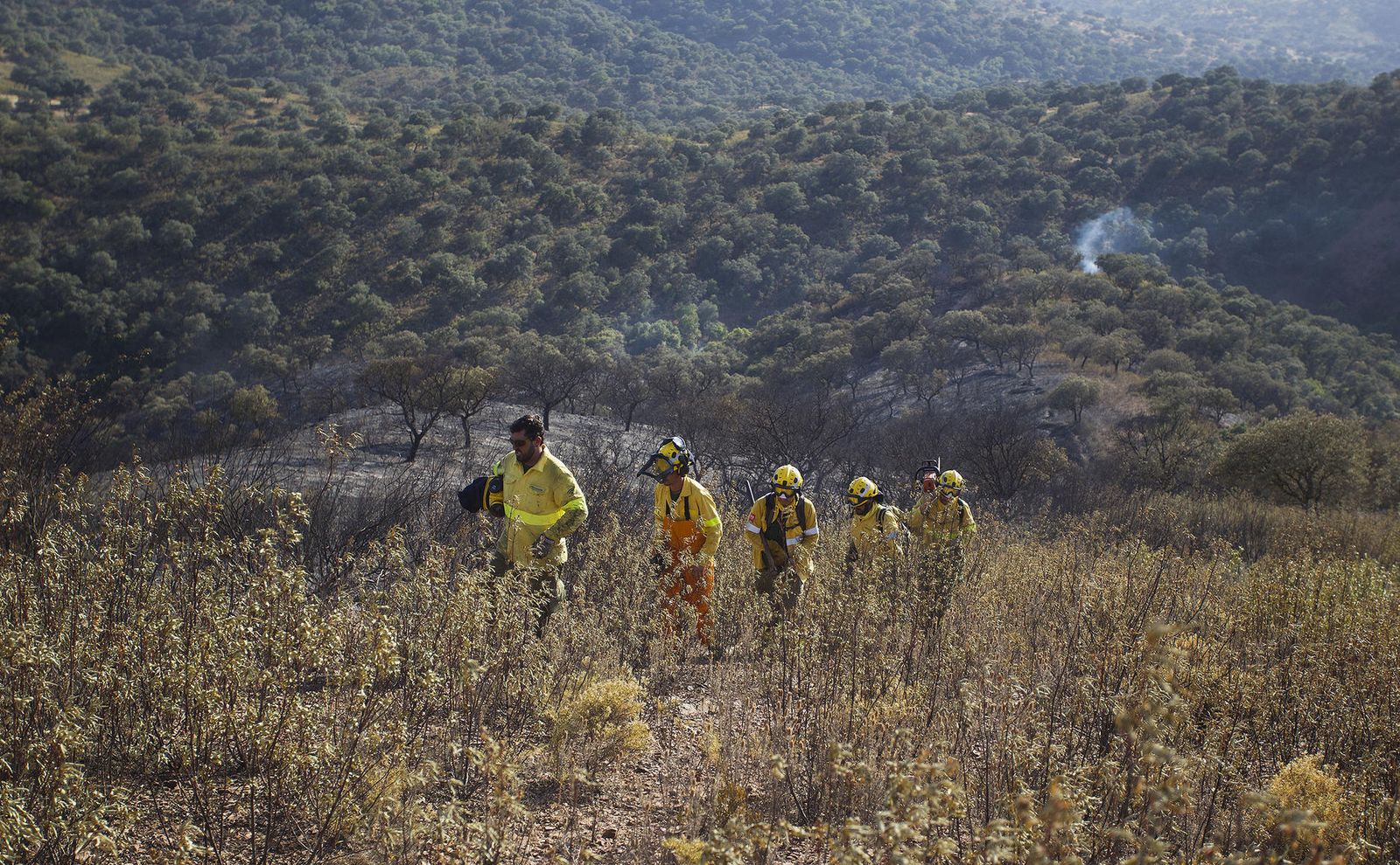 El incendio forestal de El Ronquillo, en imágenes