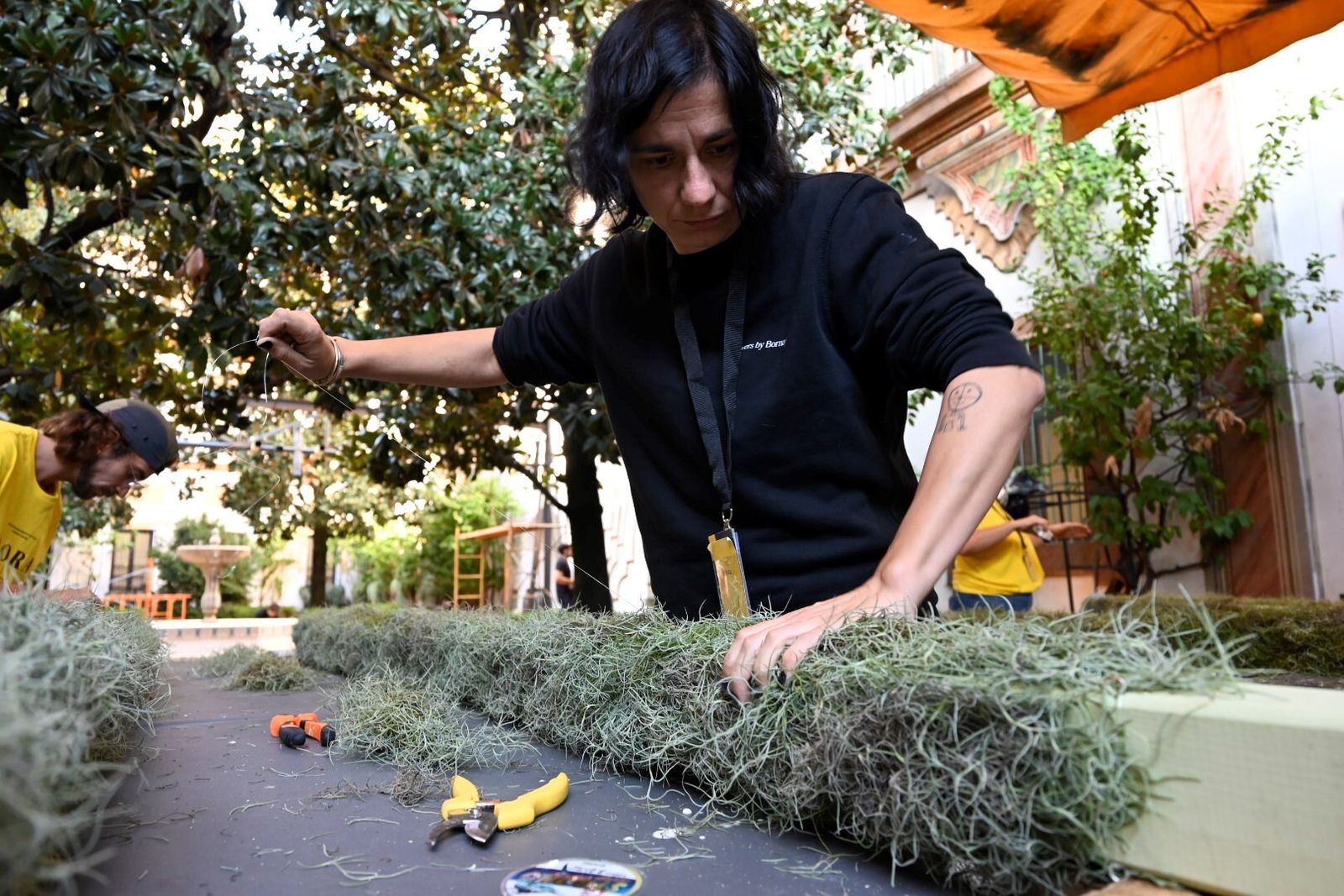 El avance de las creaciones de Flora, en imágenes