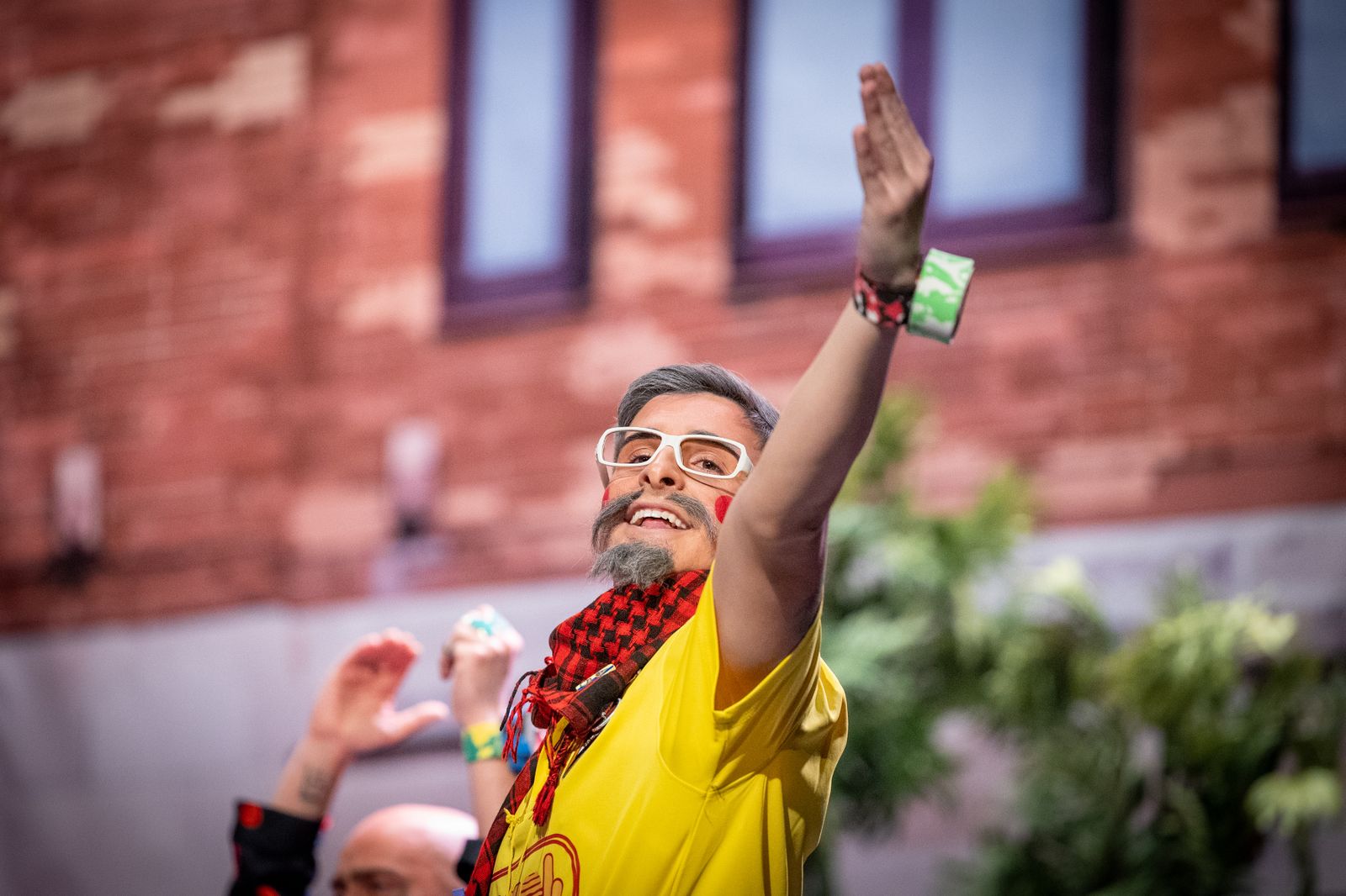 Chirigota 'Los plácidos domingos'