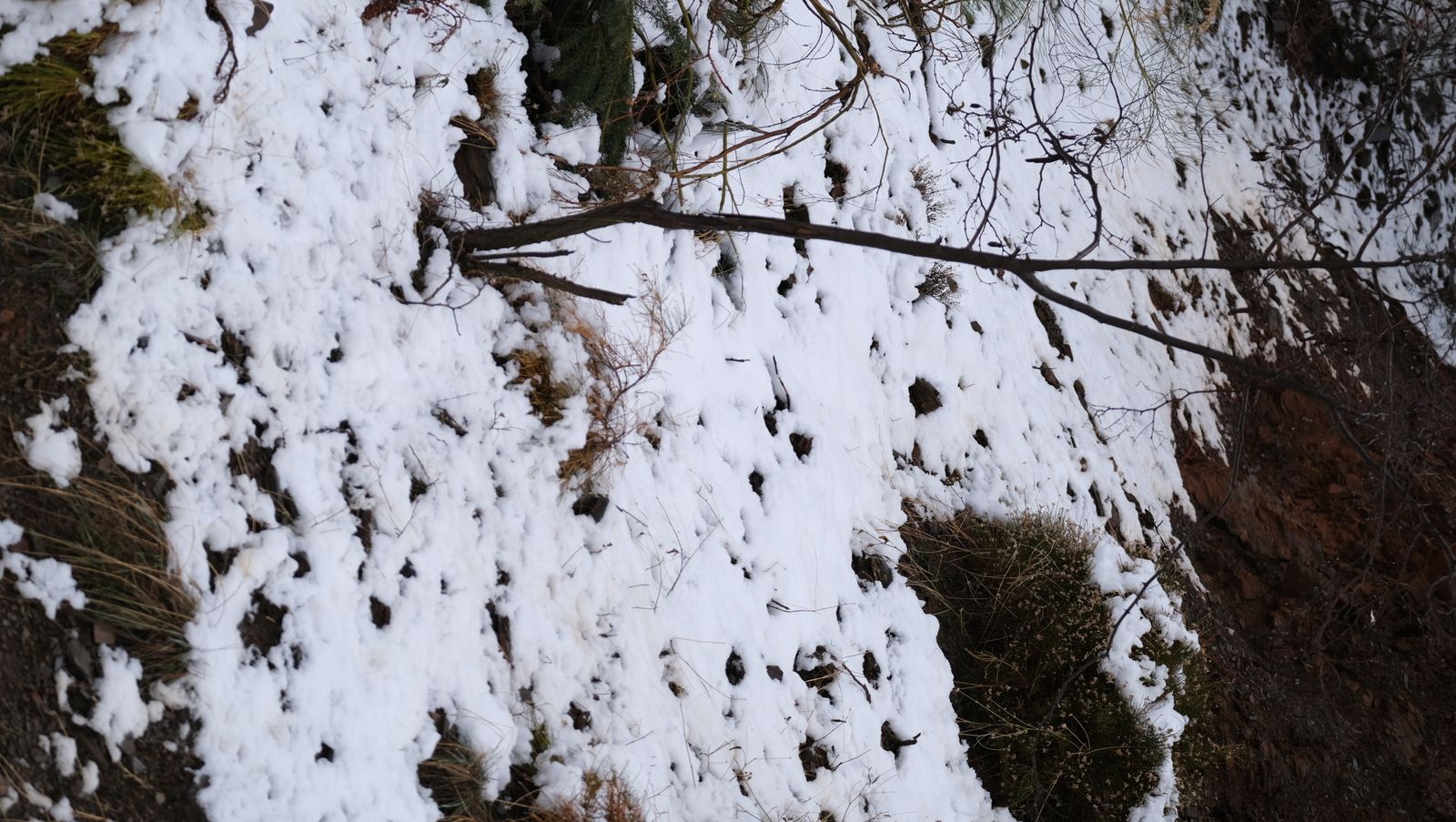 Fotogalería nevada en la Provincia de Almería