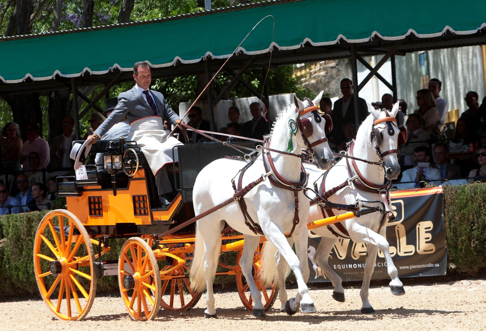 Entrega del Caballo de Oro Jerez 2024 a Francisco Dorante